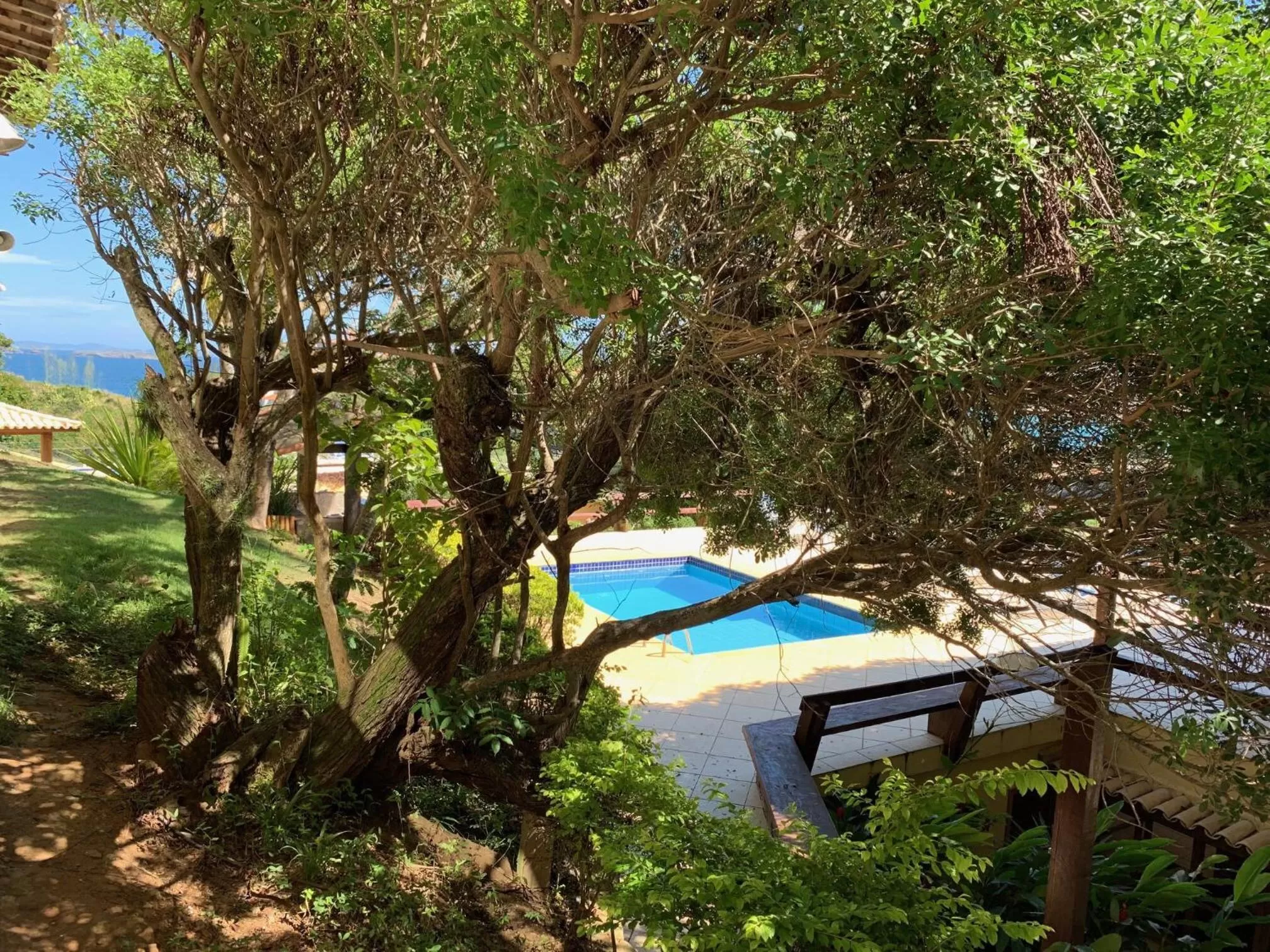 Swimming Pool in Praia da Ferradurinha Guest House