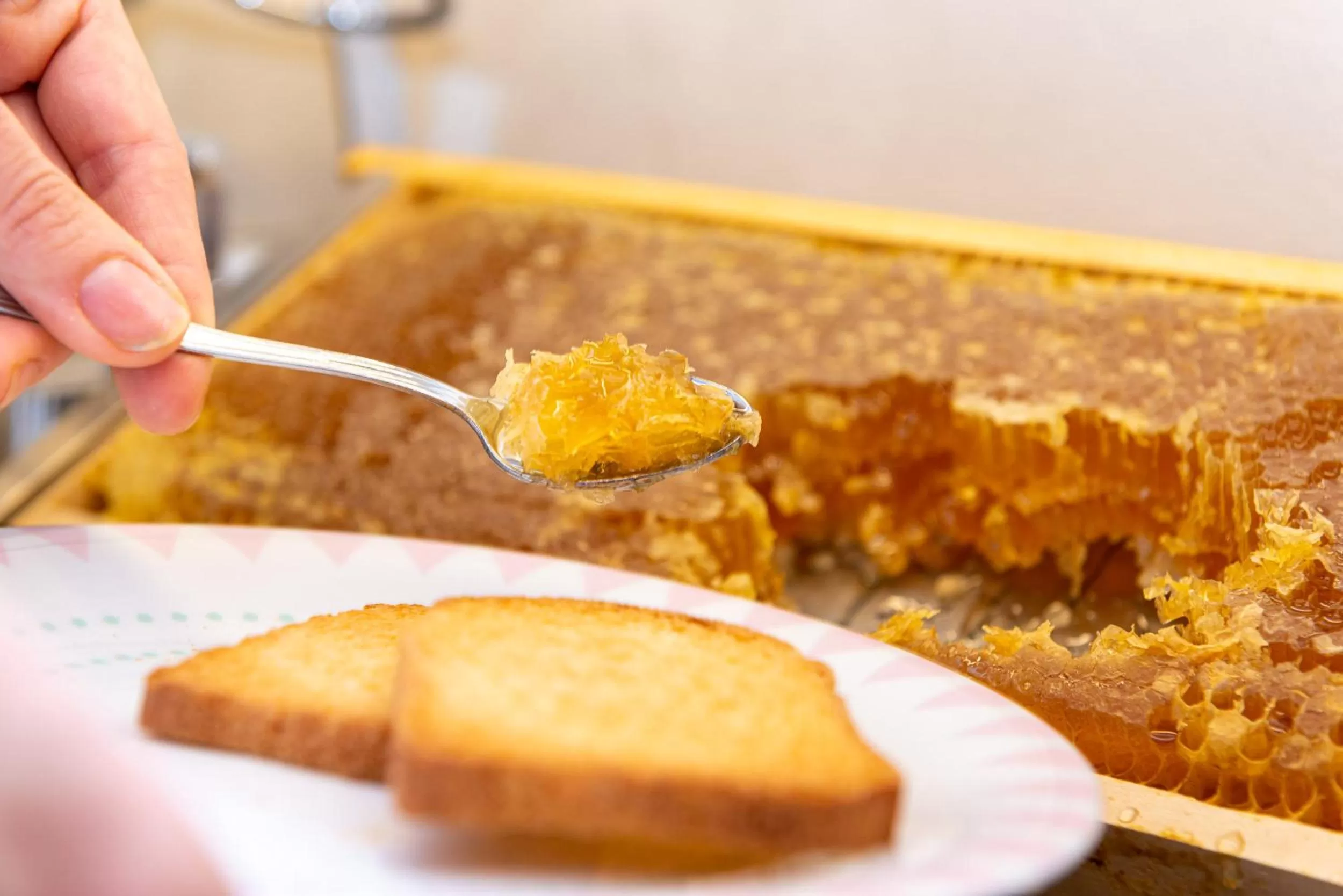 Food and drinks in Hotel Mirandola