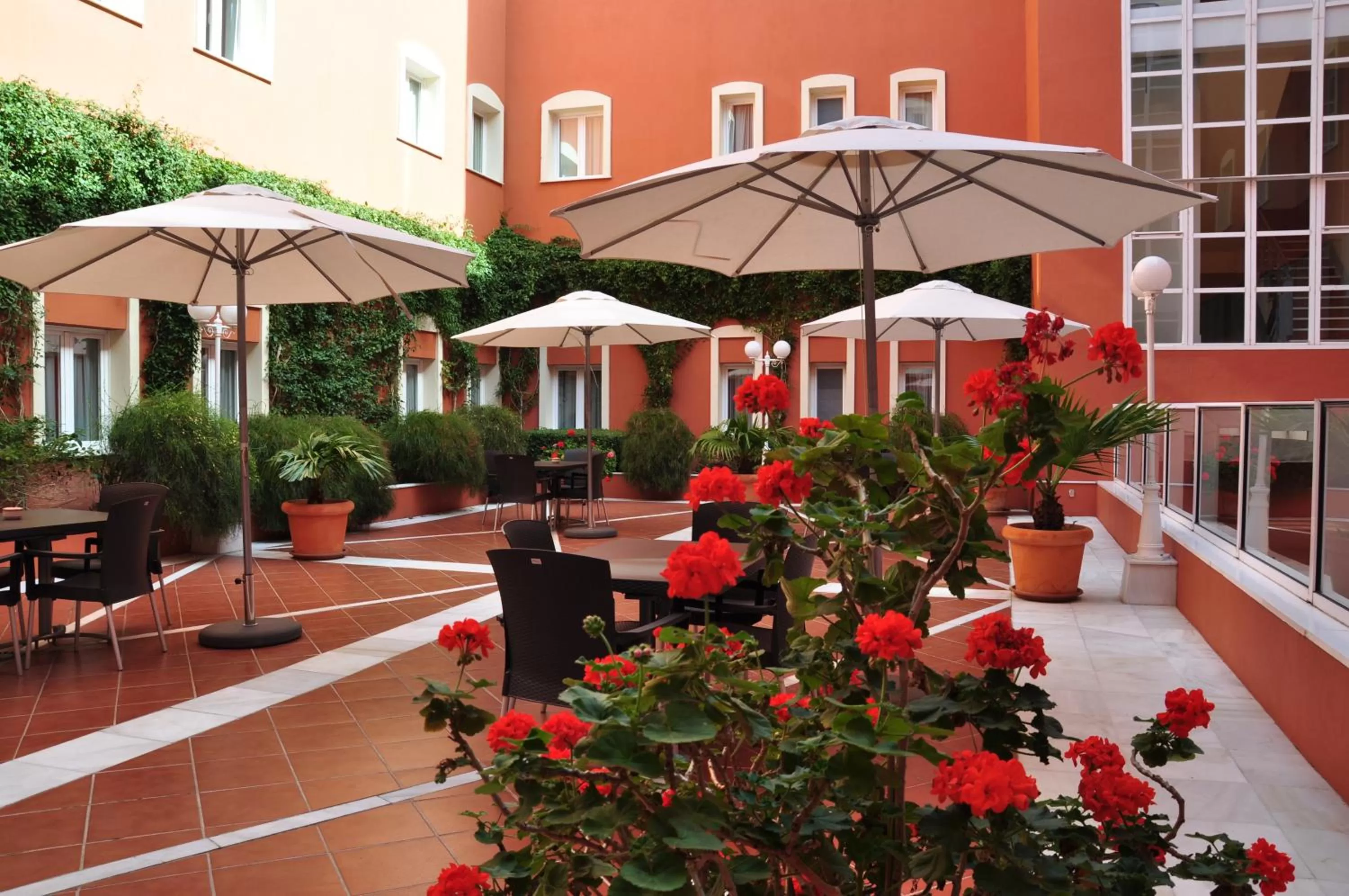 Patio in Alborán Chiclana