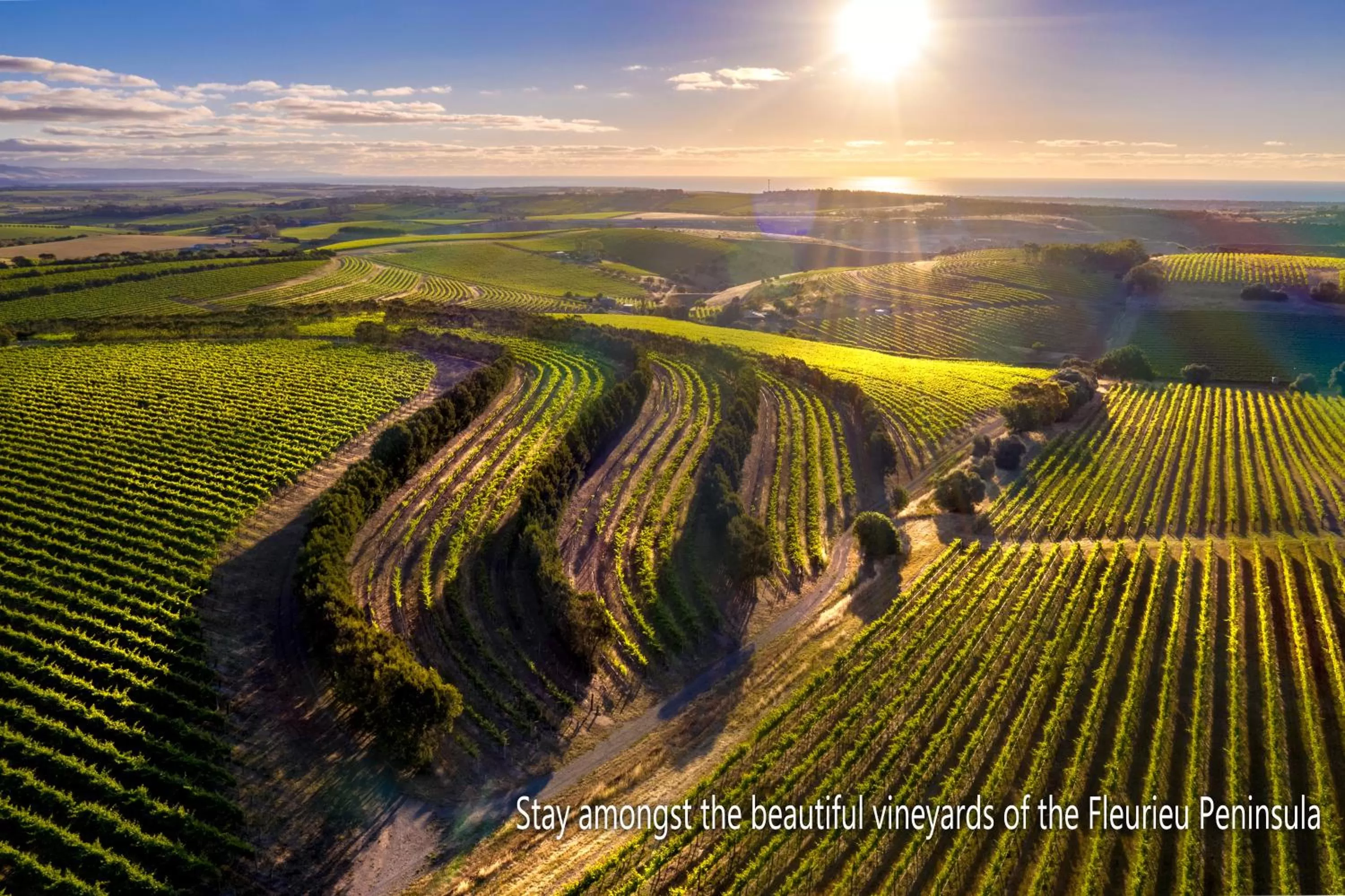 Off site in The Old Chaff Mill Organic Vineyard Retreat