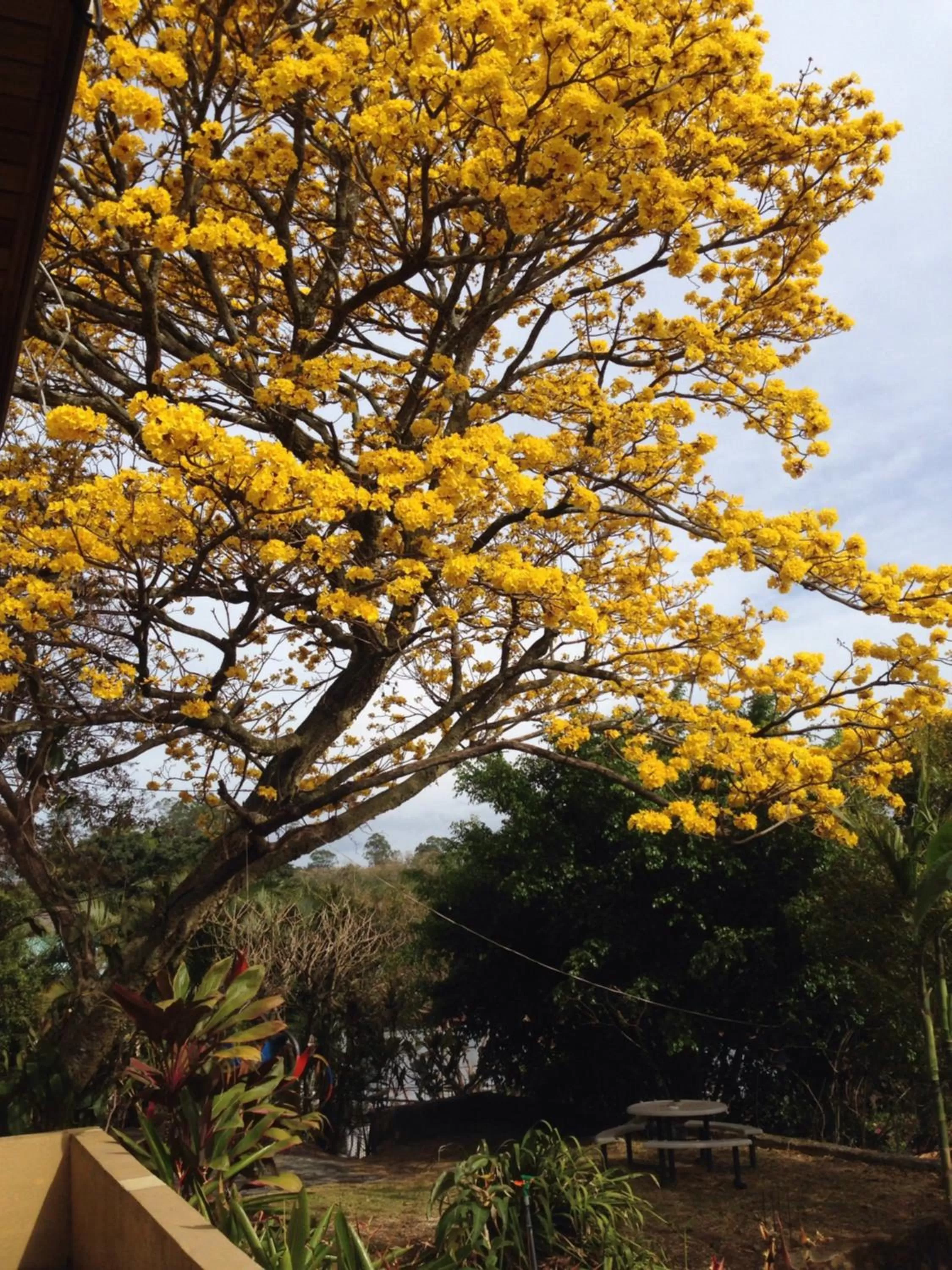 Day in ApartHotel Villa Pacande & Rooms