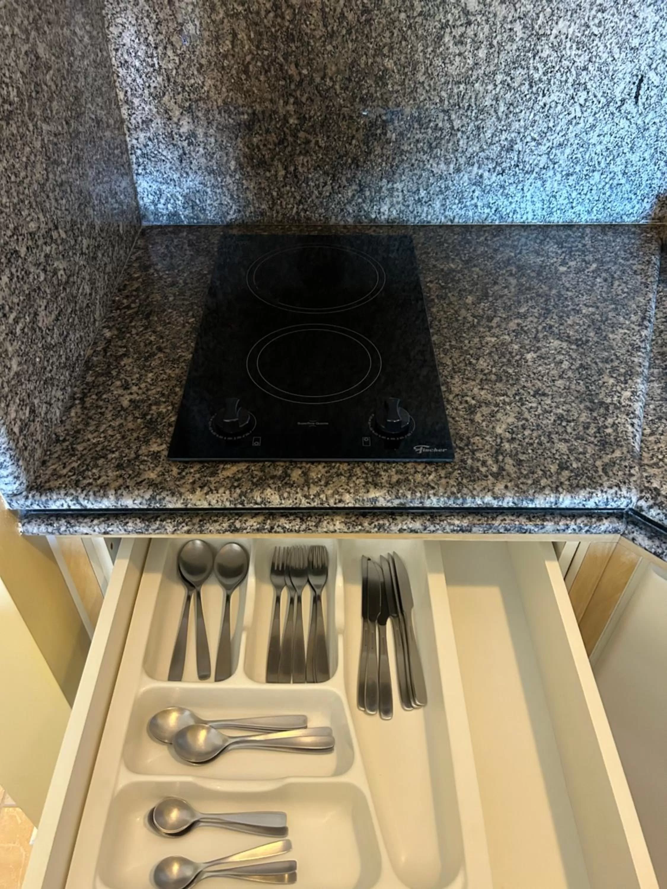 Kitchen or kitchenette, Kitchen/Kitchenette in Golfinhos Apart Hotel