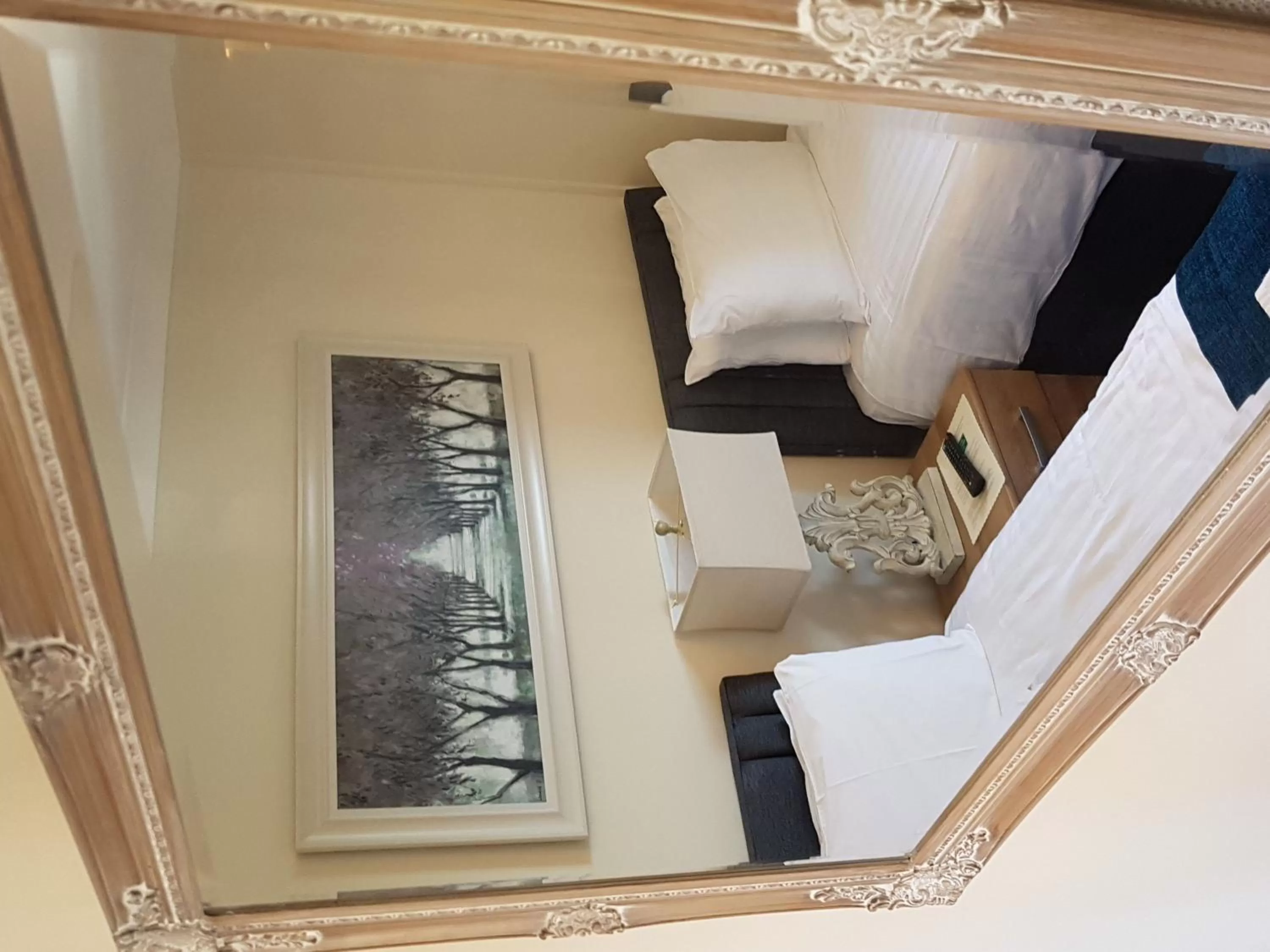 Twin Room with Private Bathroom - single occupancy in The Dog Inn