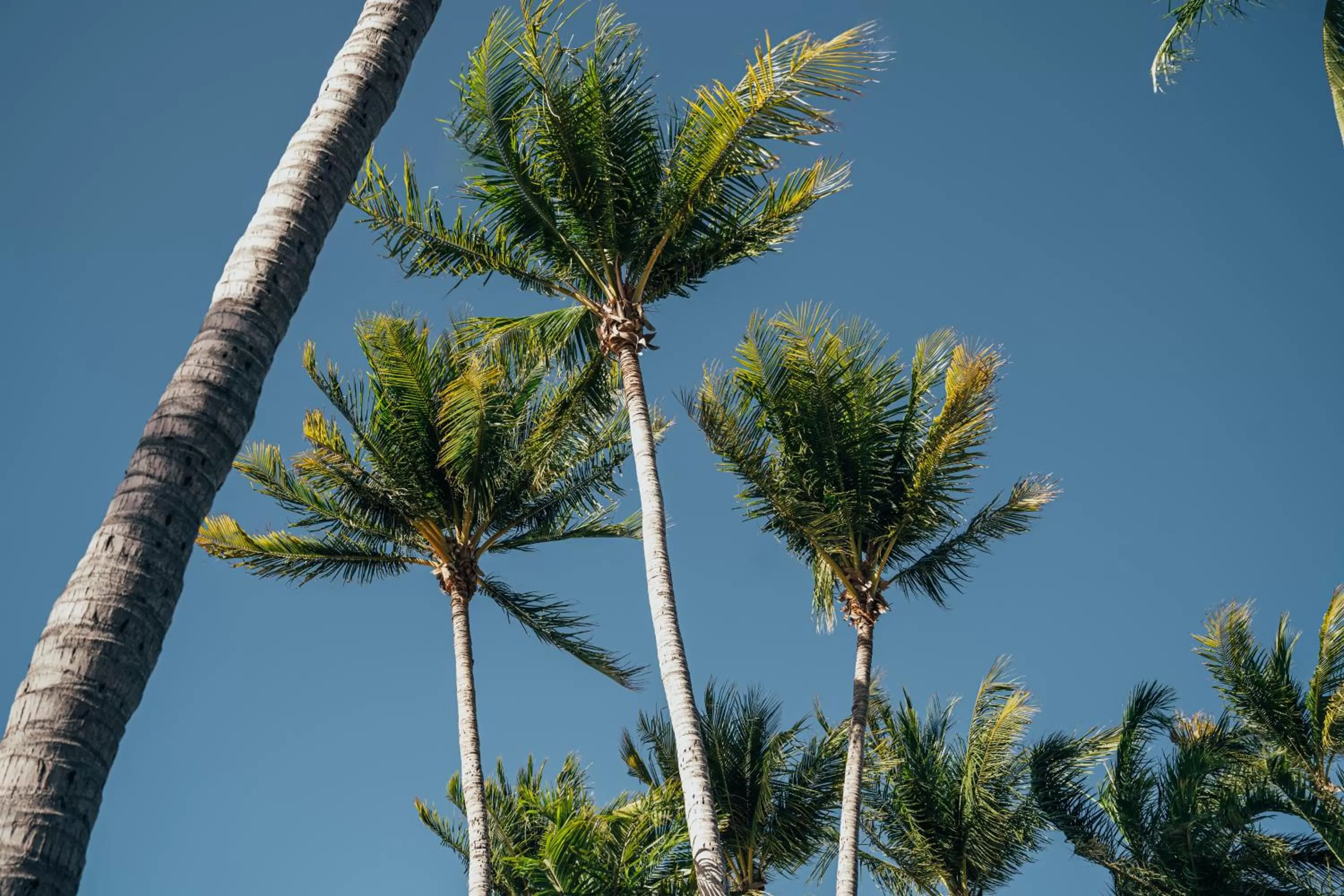 Karratha International Hotel