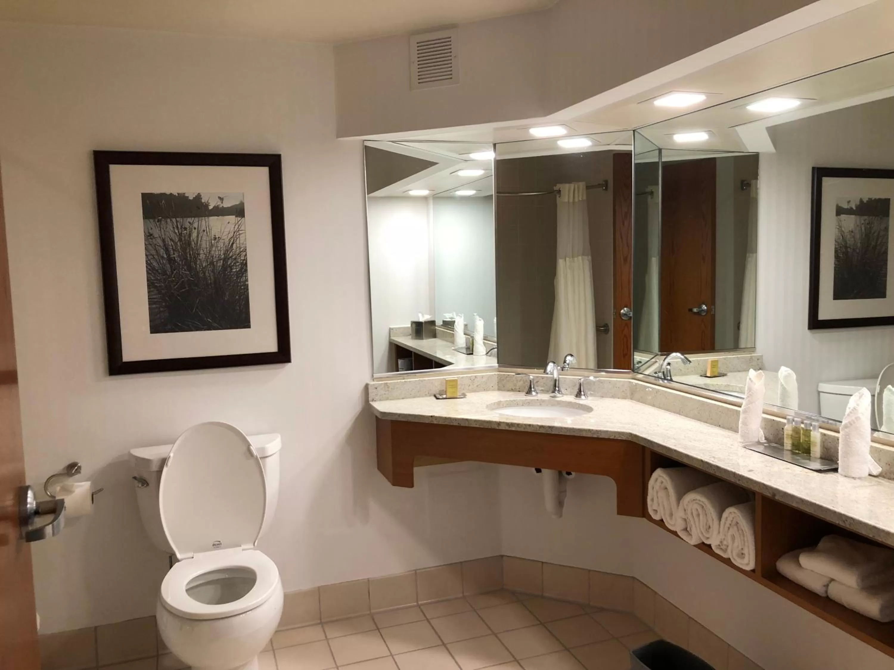 Bathroom in Wyndham Garden Buffalo Downtown