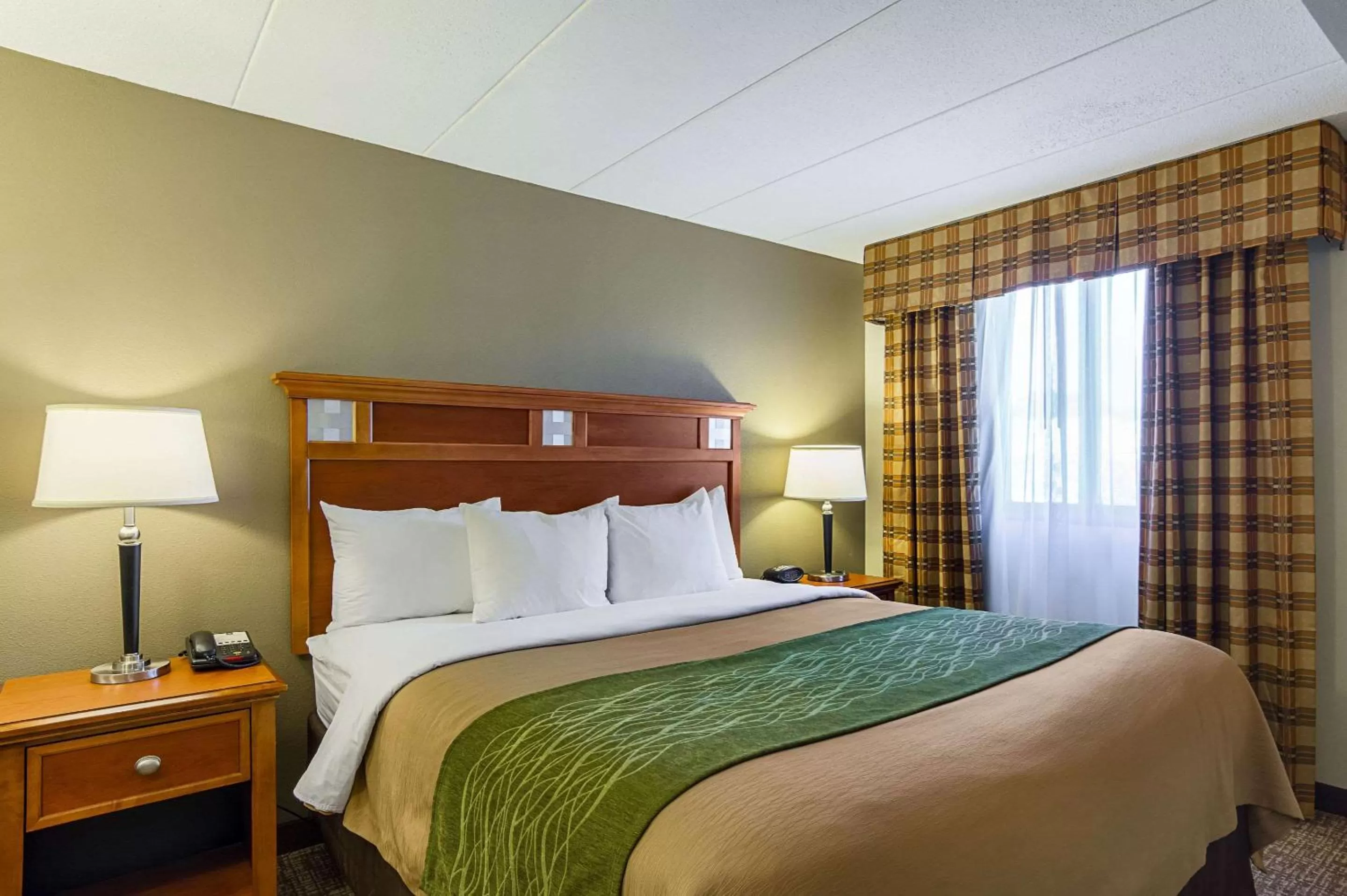 King Suite - Non-Smoking in Comfort Inn Herndon-Reston