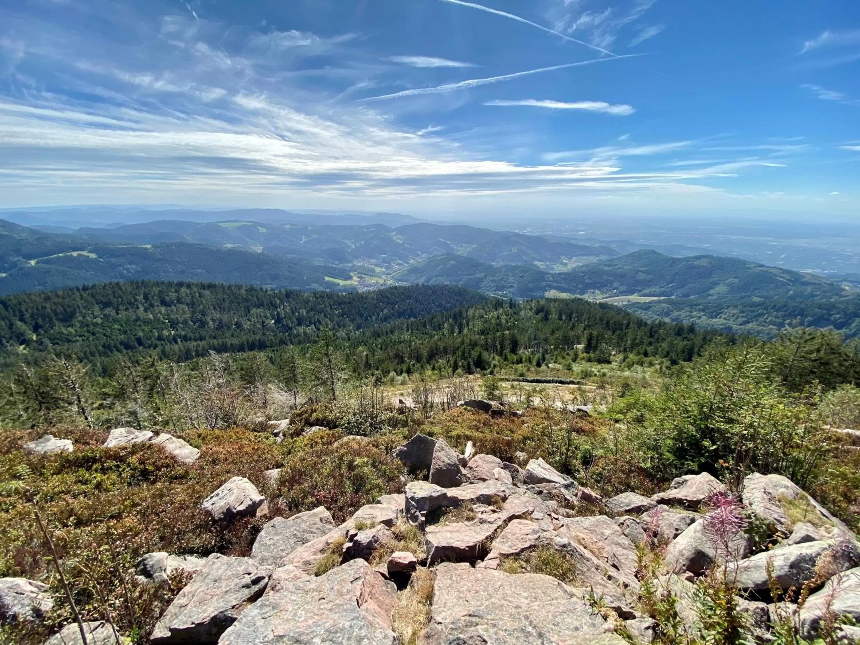Natural landscape, Bird's-eye View in RelaxHotel Tannenhof