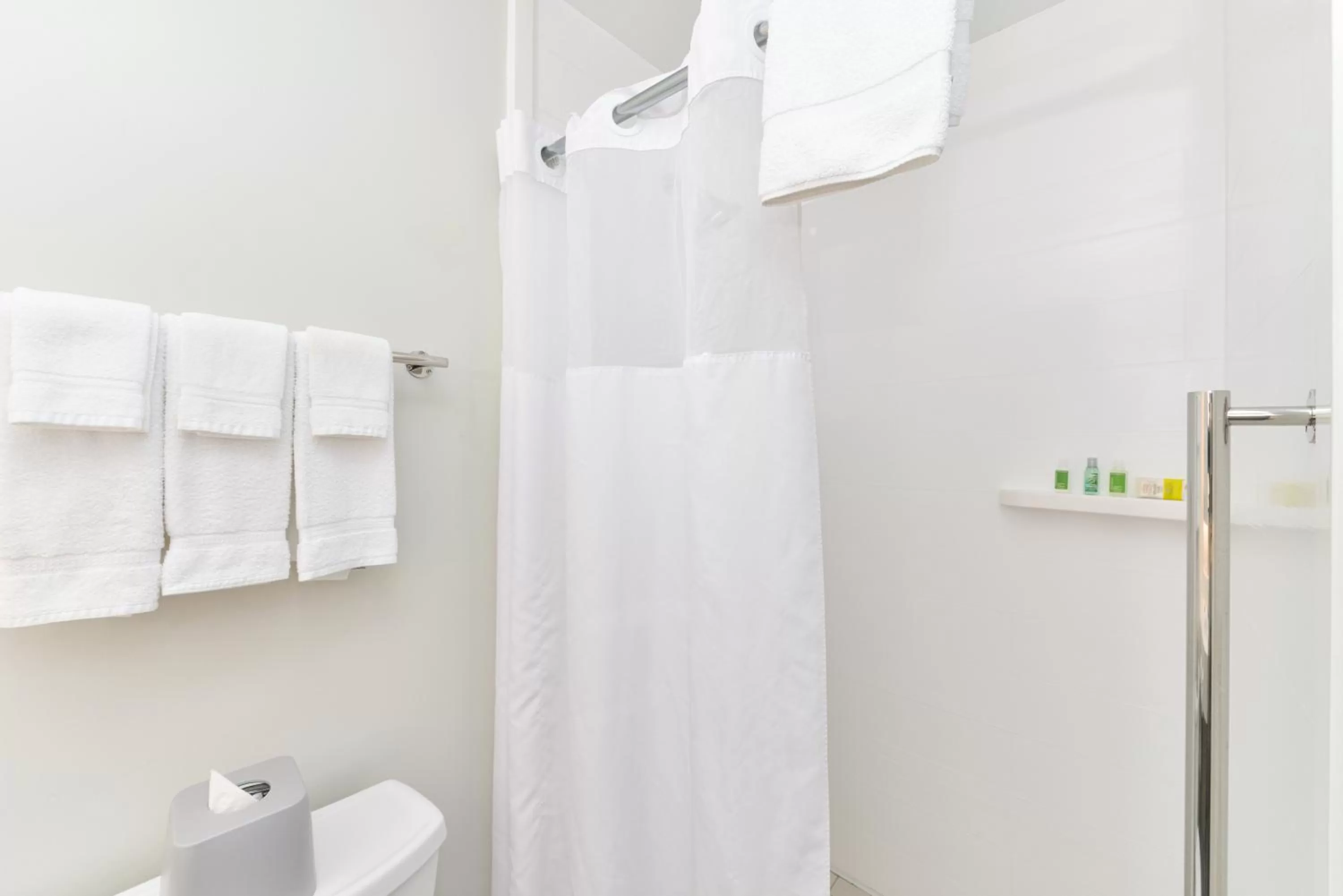 Bathroom in Holiday Inn Express New Orleans - Arts District by IHG