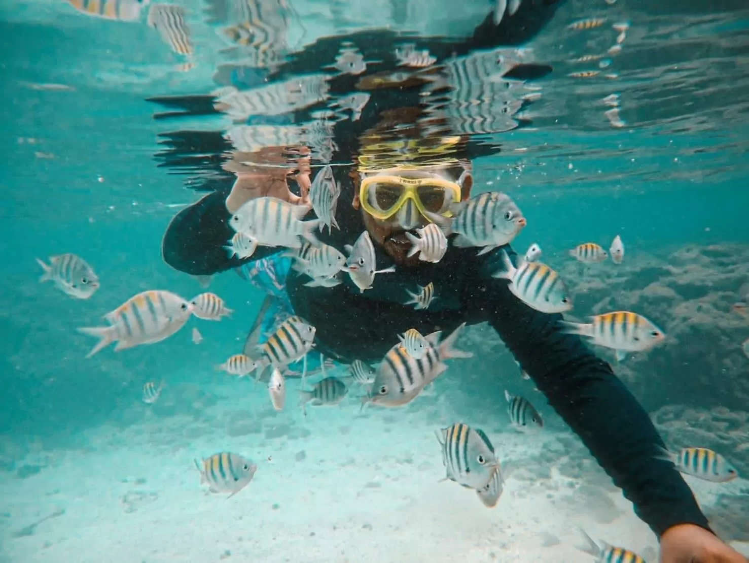 Natural landscape in Chalé Palhano Beach