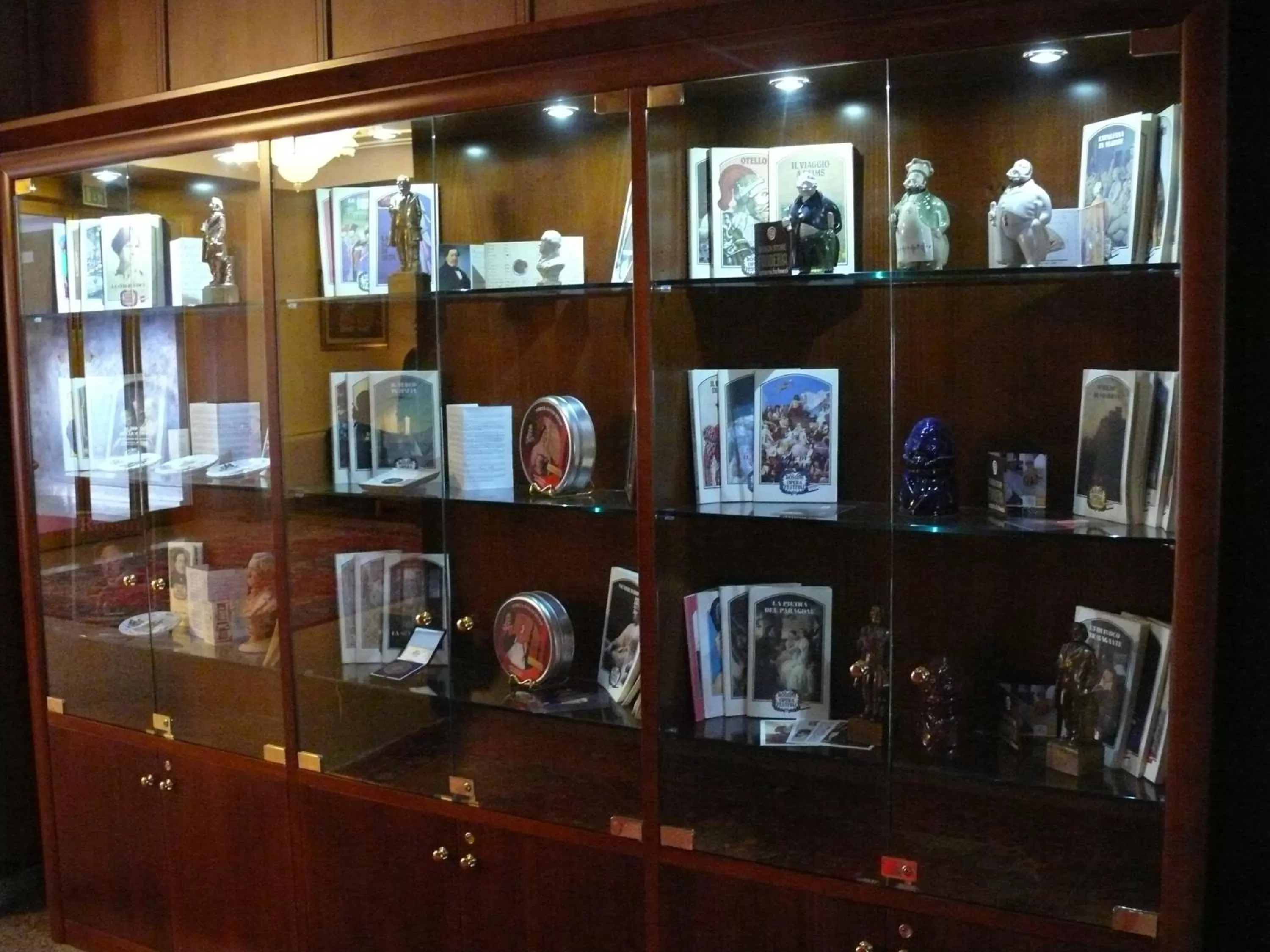 Library in Hotel Rossini