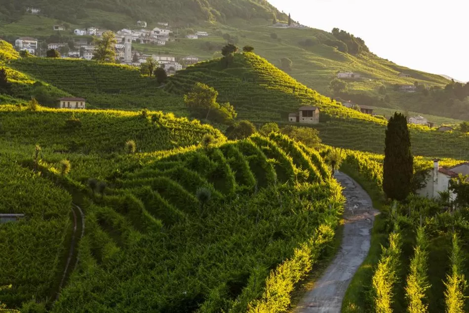 Nearby landmark in Villa Fior di Robinia