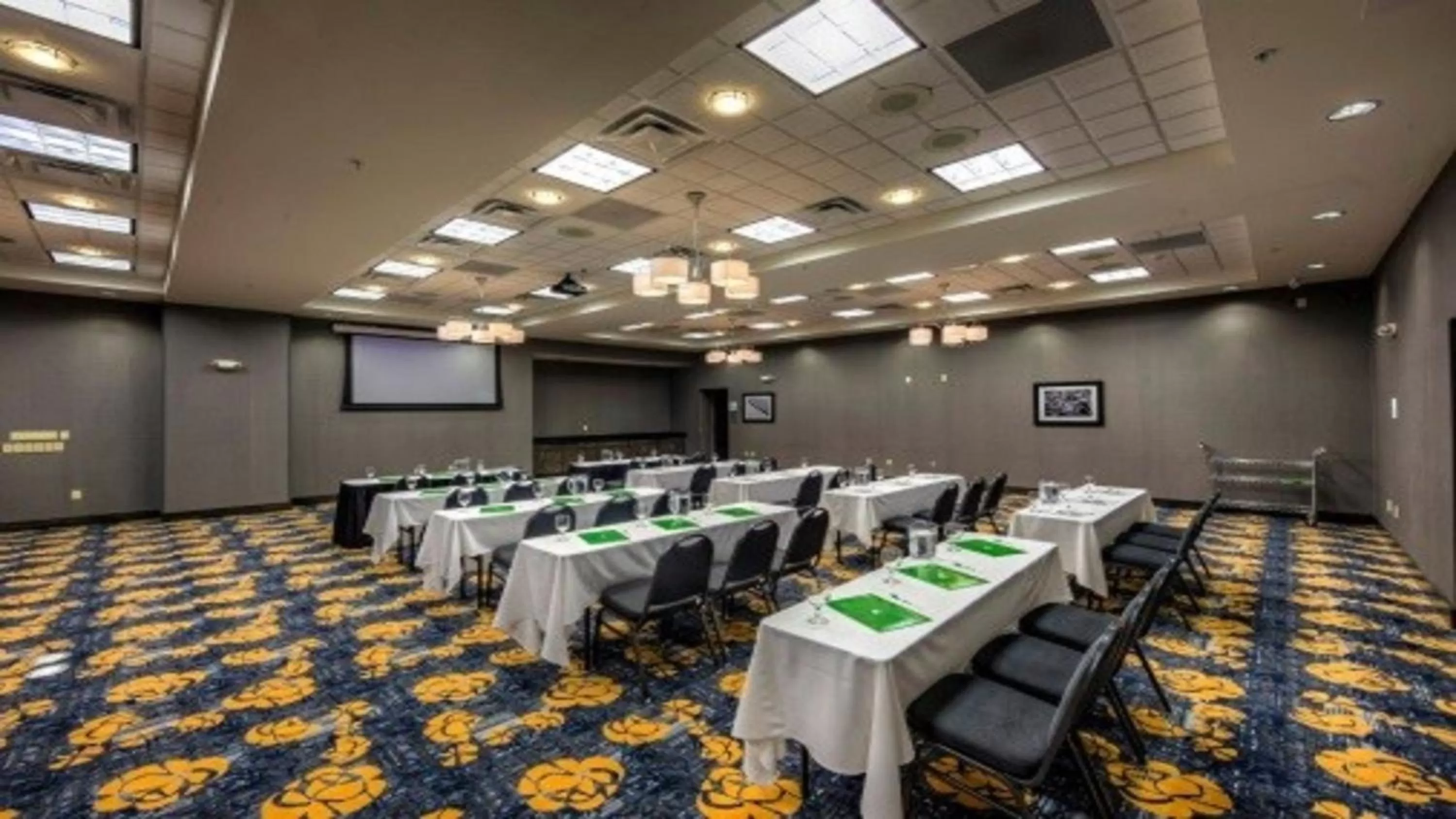 Meeting/conference room in Holiday Inn Cleveland Northeast - Mentor by IHG