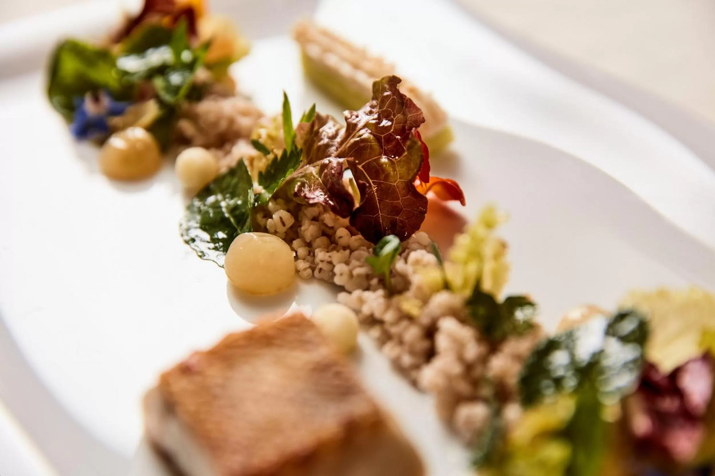 Dinner in Genuss- & Aktivhotel Sonnenburg