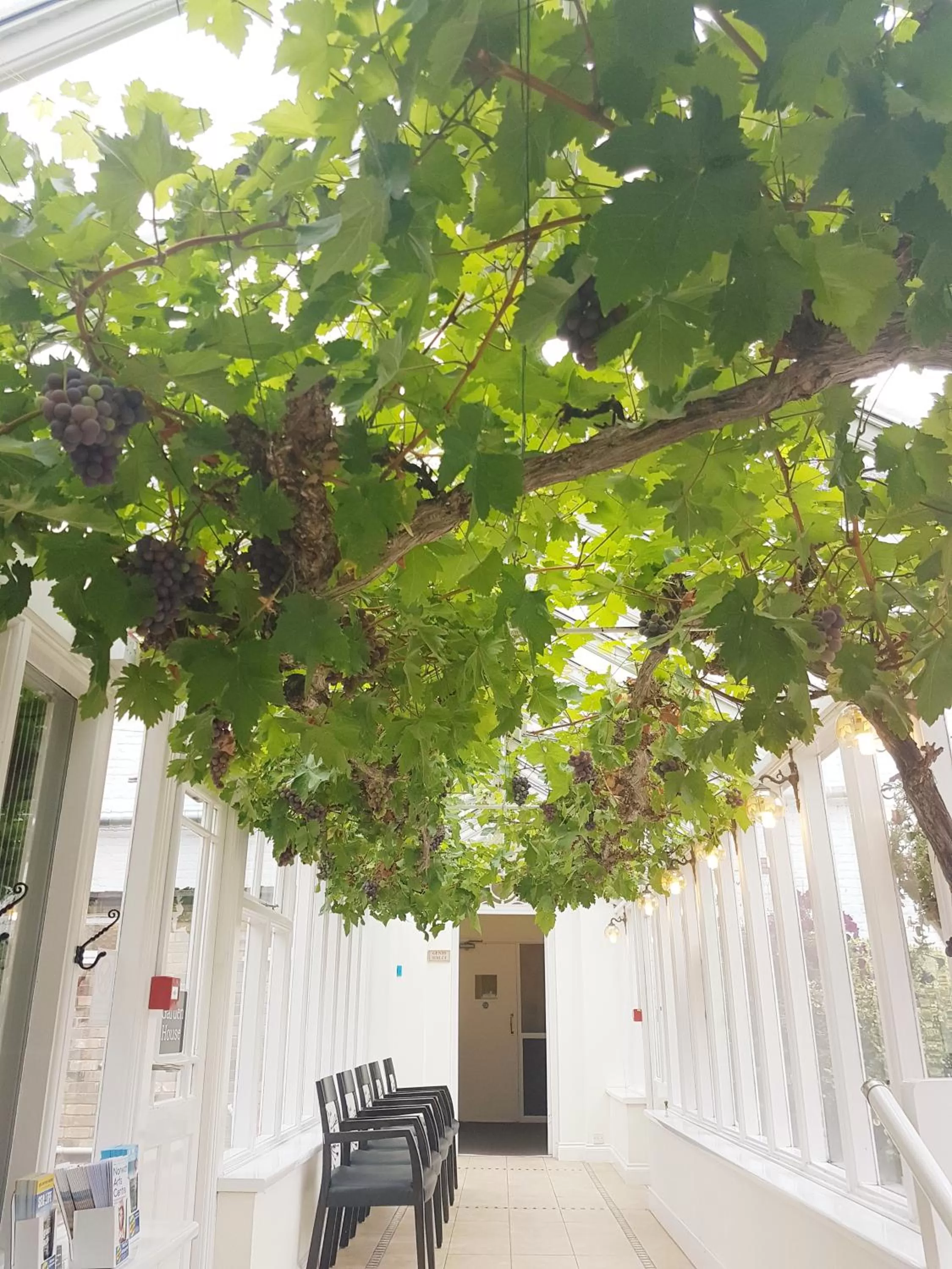 Property building in Best Western Annesley House Hotel