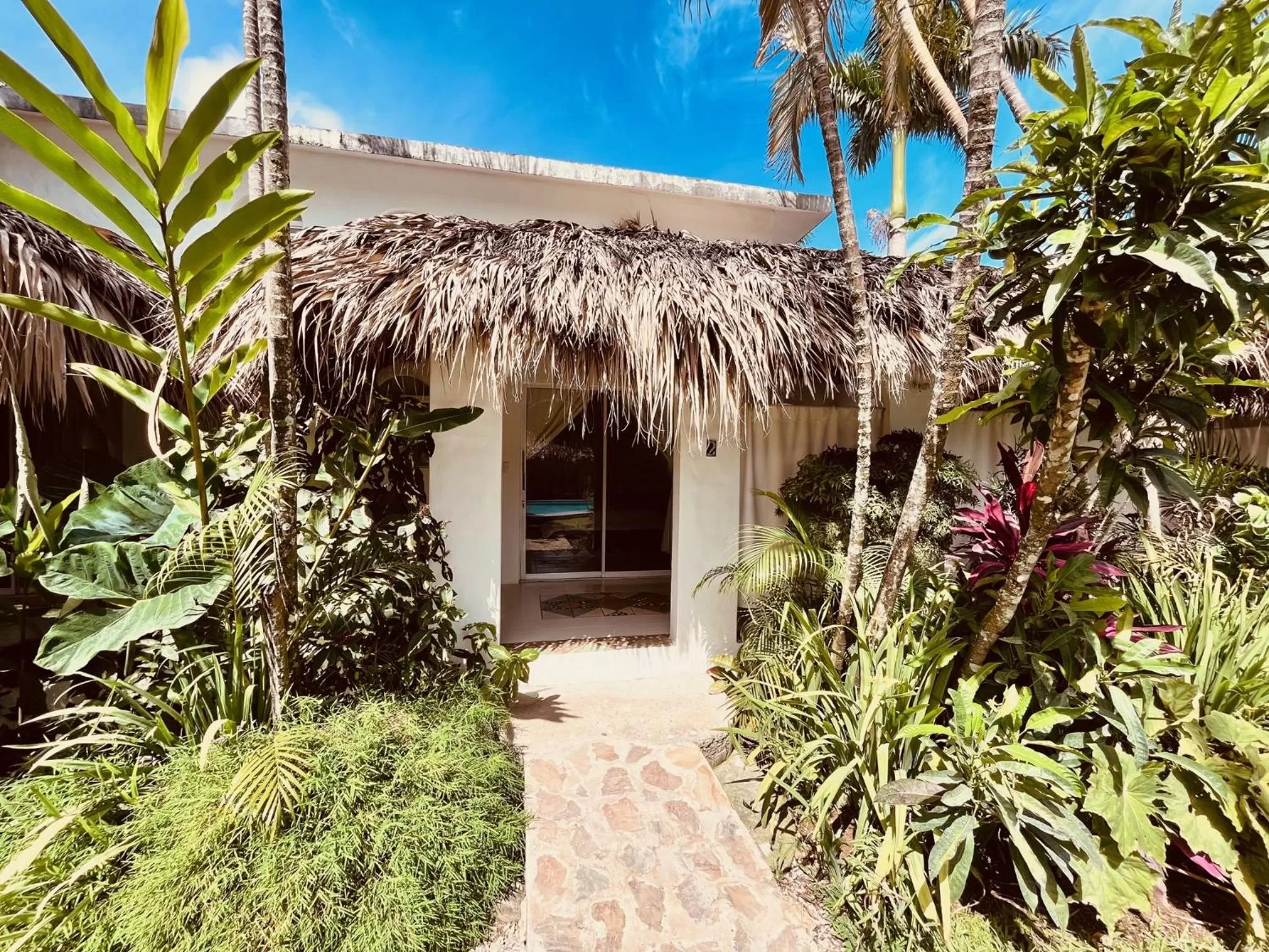 View (from property/room) in Hotel La Tortuga