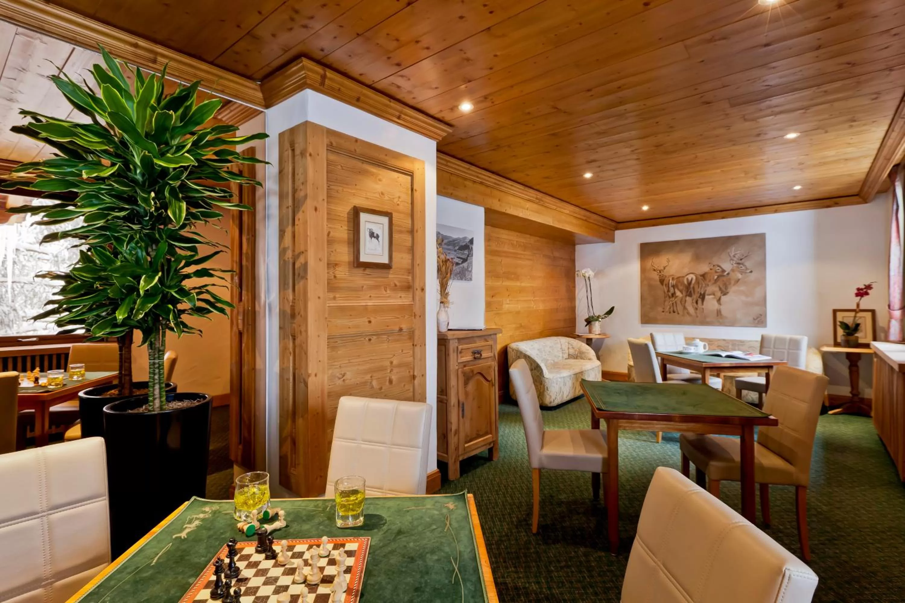 Game Room in Hotel les Flocons