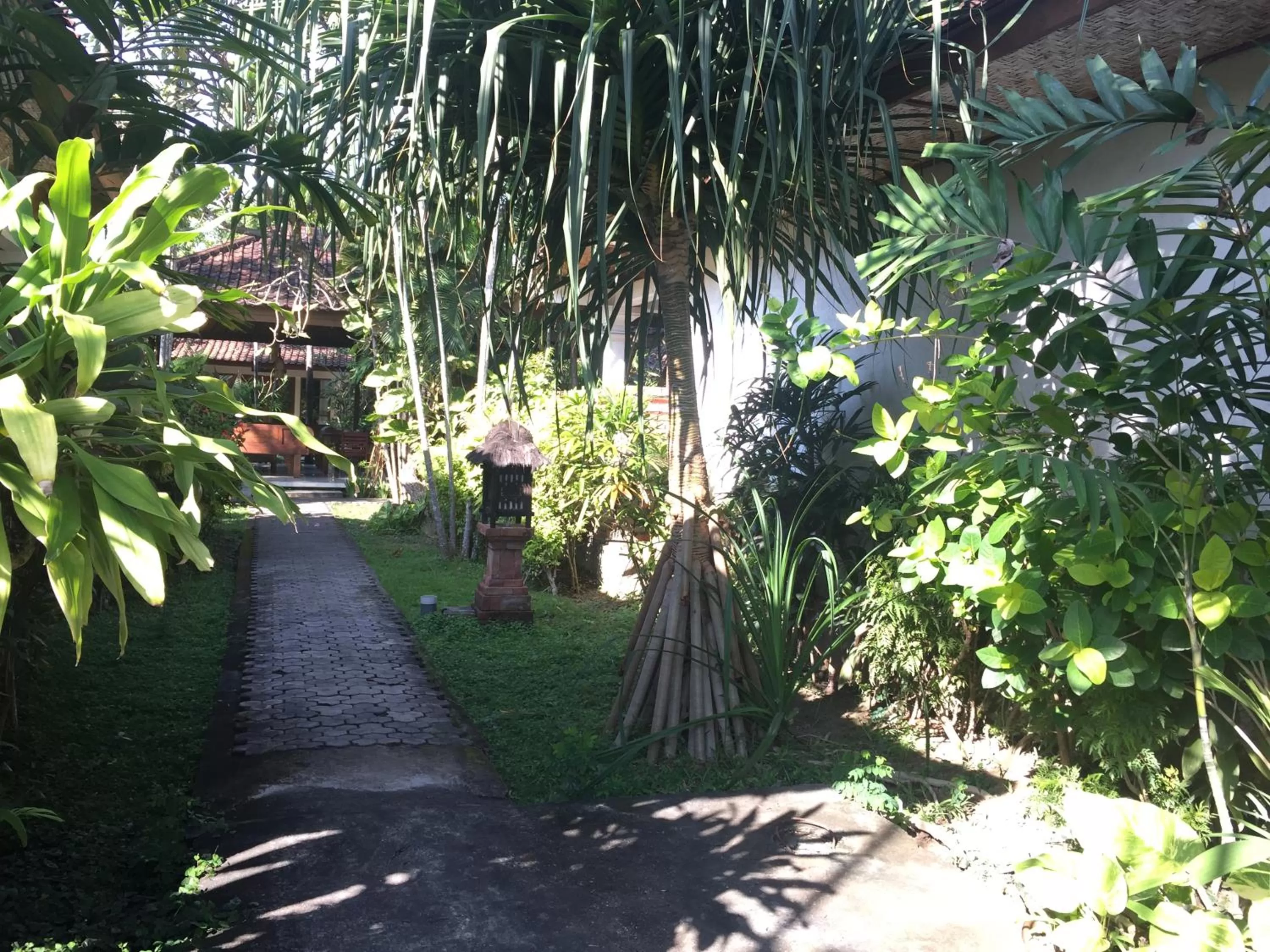 Natural landscape in Bumi Ayu Bungalow Sanur