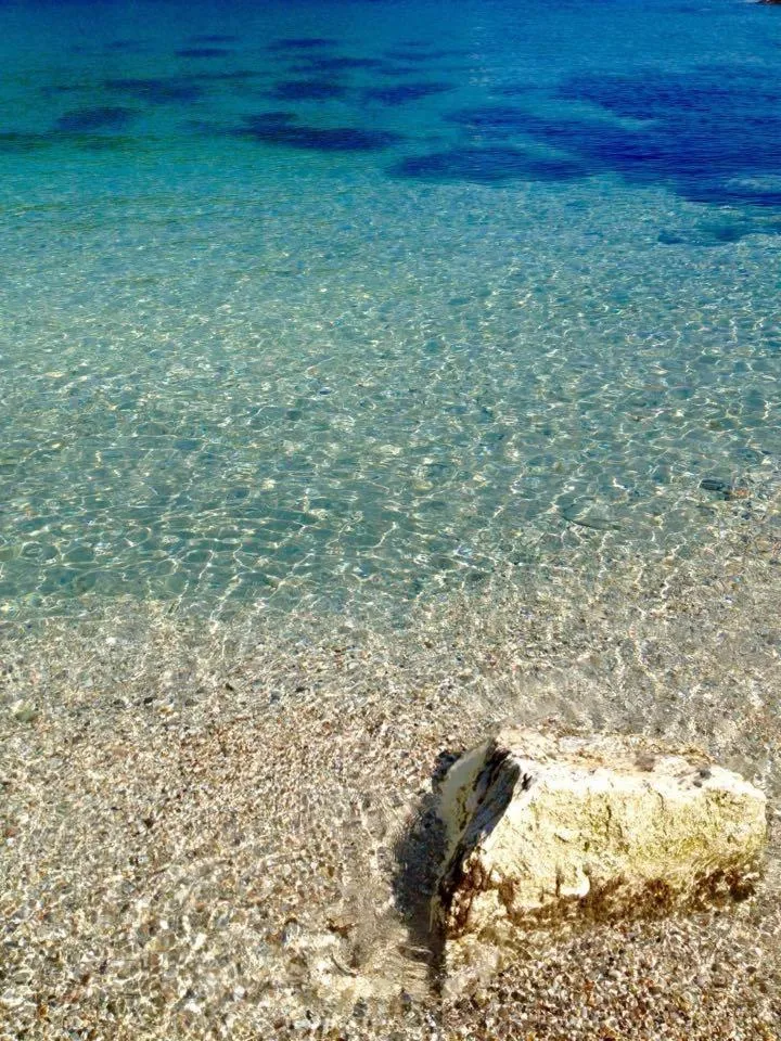 Natural landscape in Hotel "Il Parco" B&B Sirolo