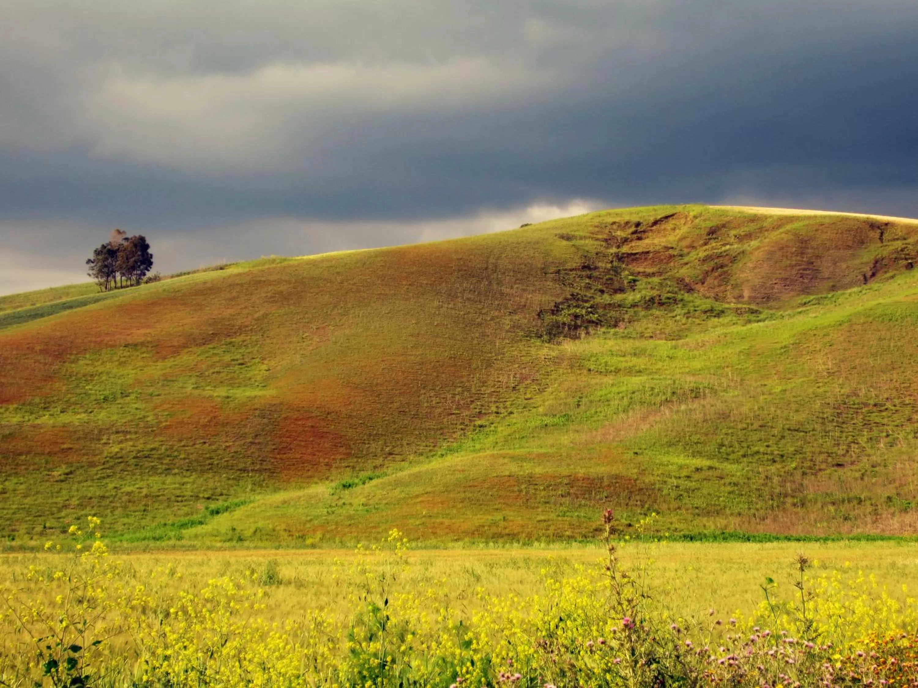 View (from property/room) in Candalù - Villa Giardinata