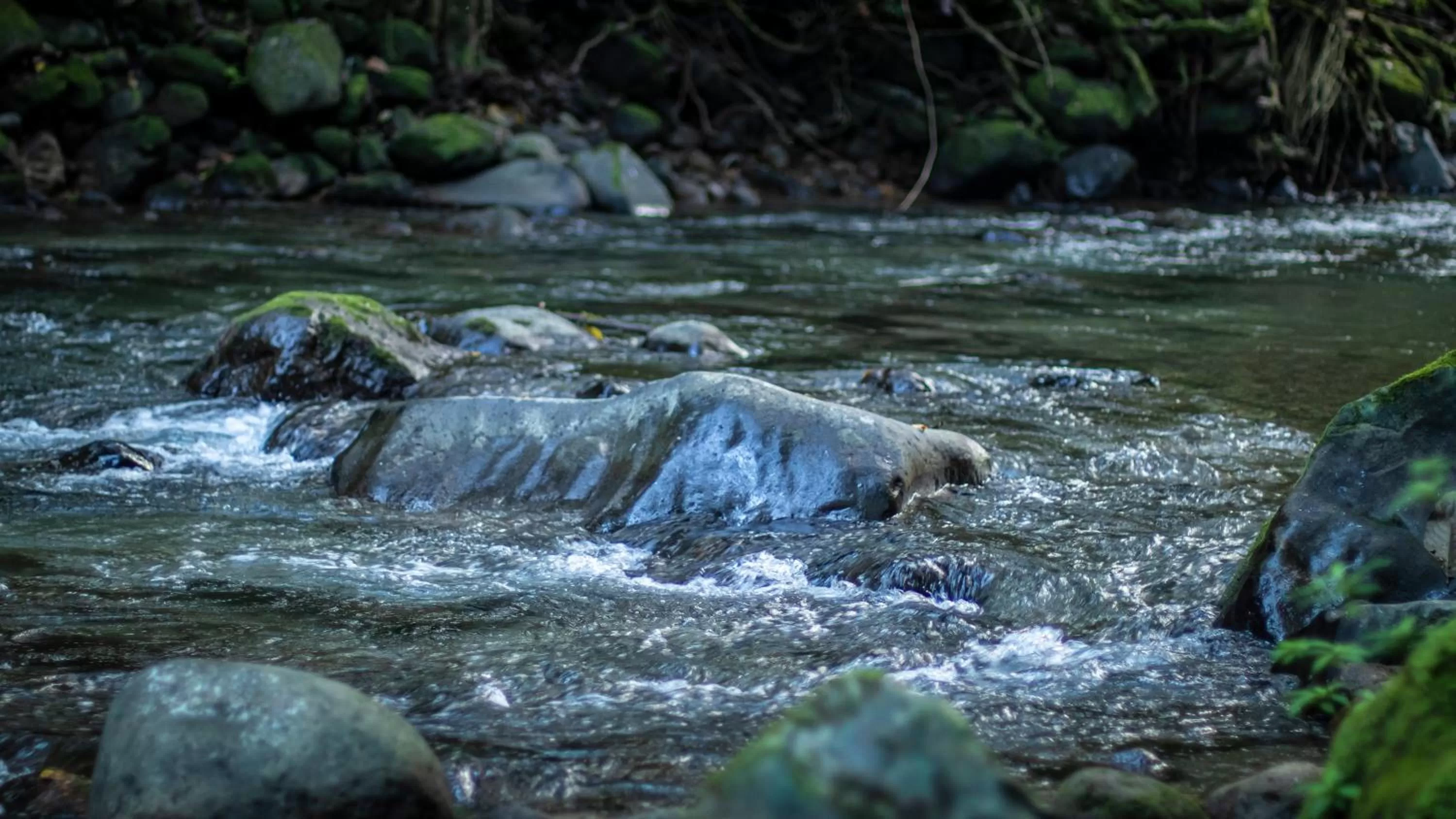 Hotel Rancho Cerro Azul
