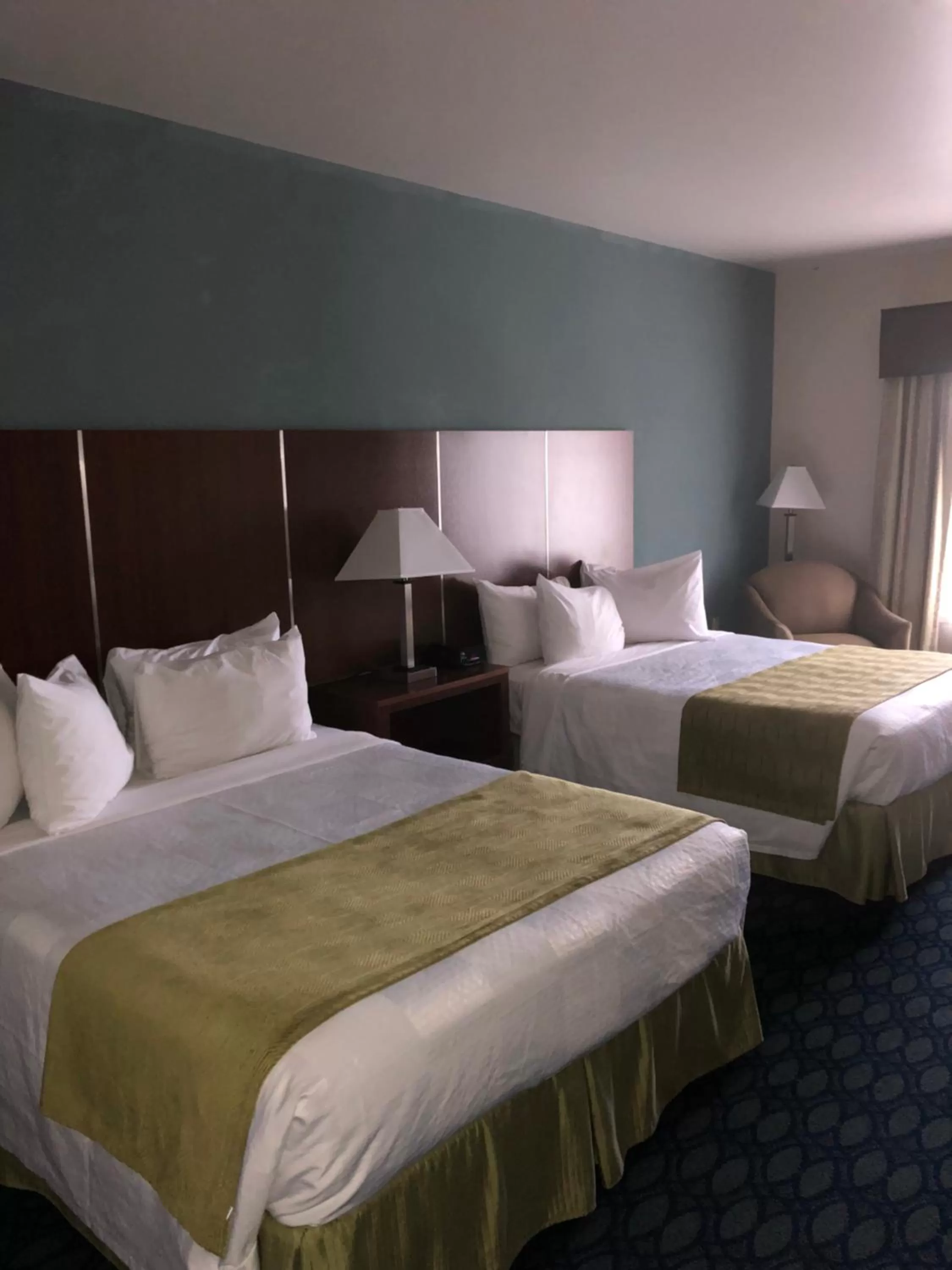 Bed in Countryview Inn & Suites