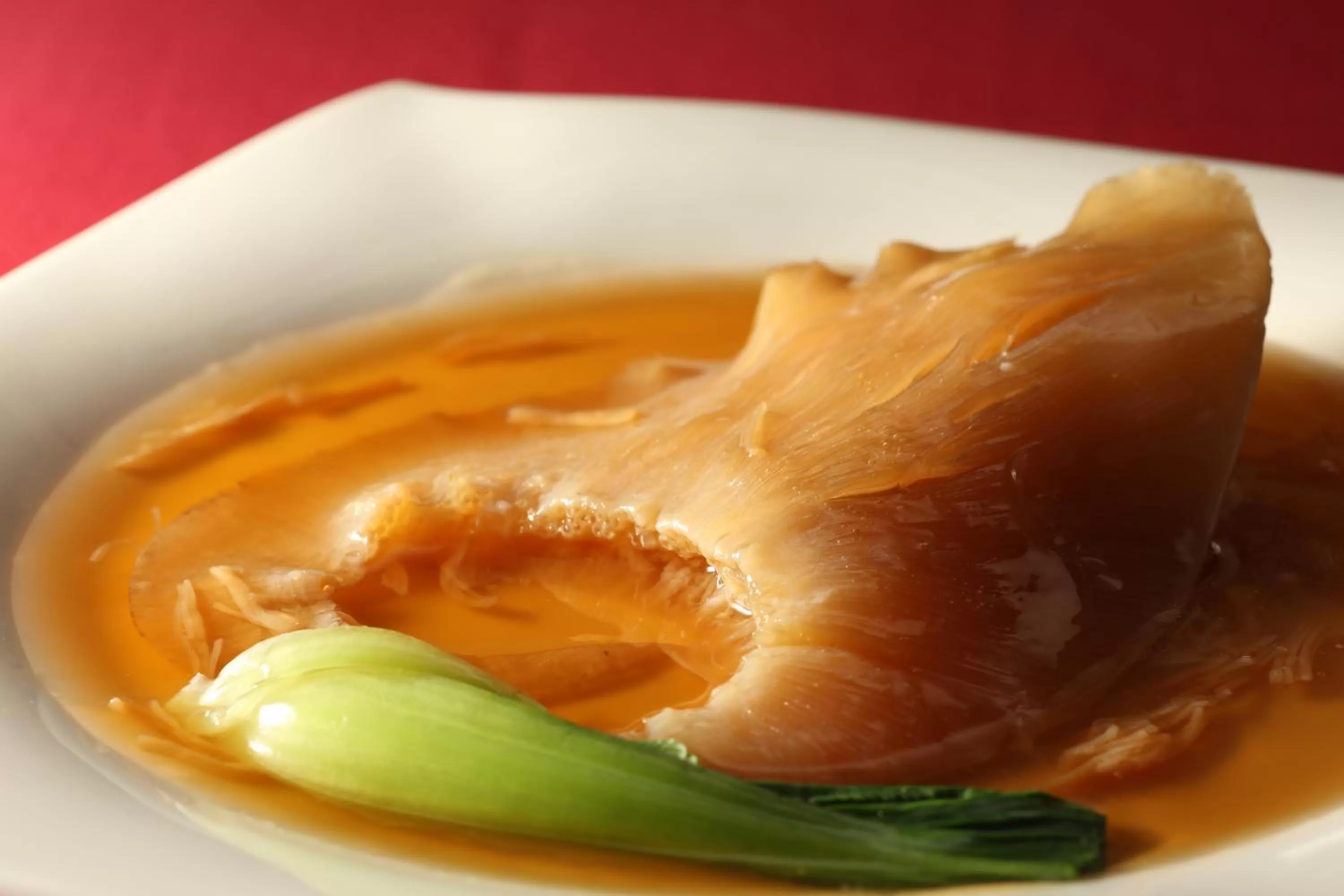 SHIROYAMA HOTEL kagoshima