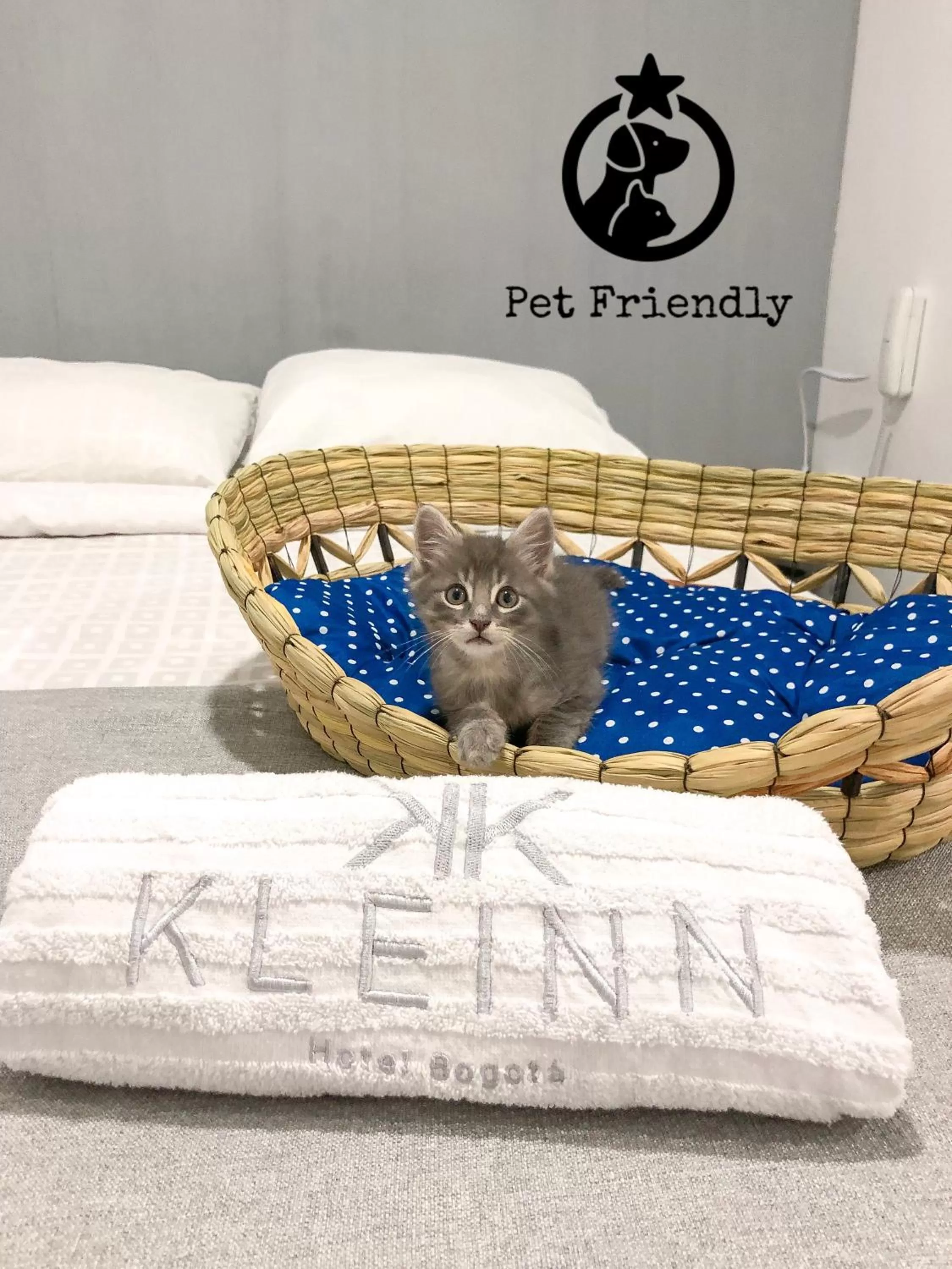 Bed in KLEINN HOTEL BOGOTÁ