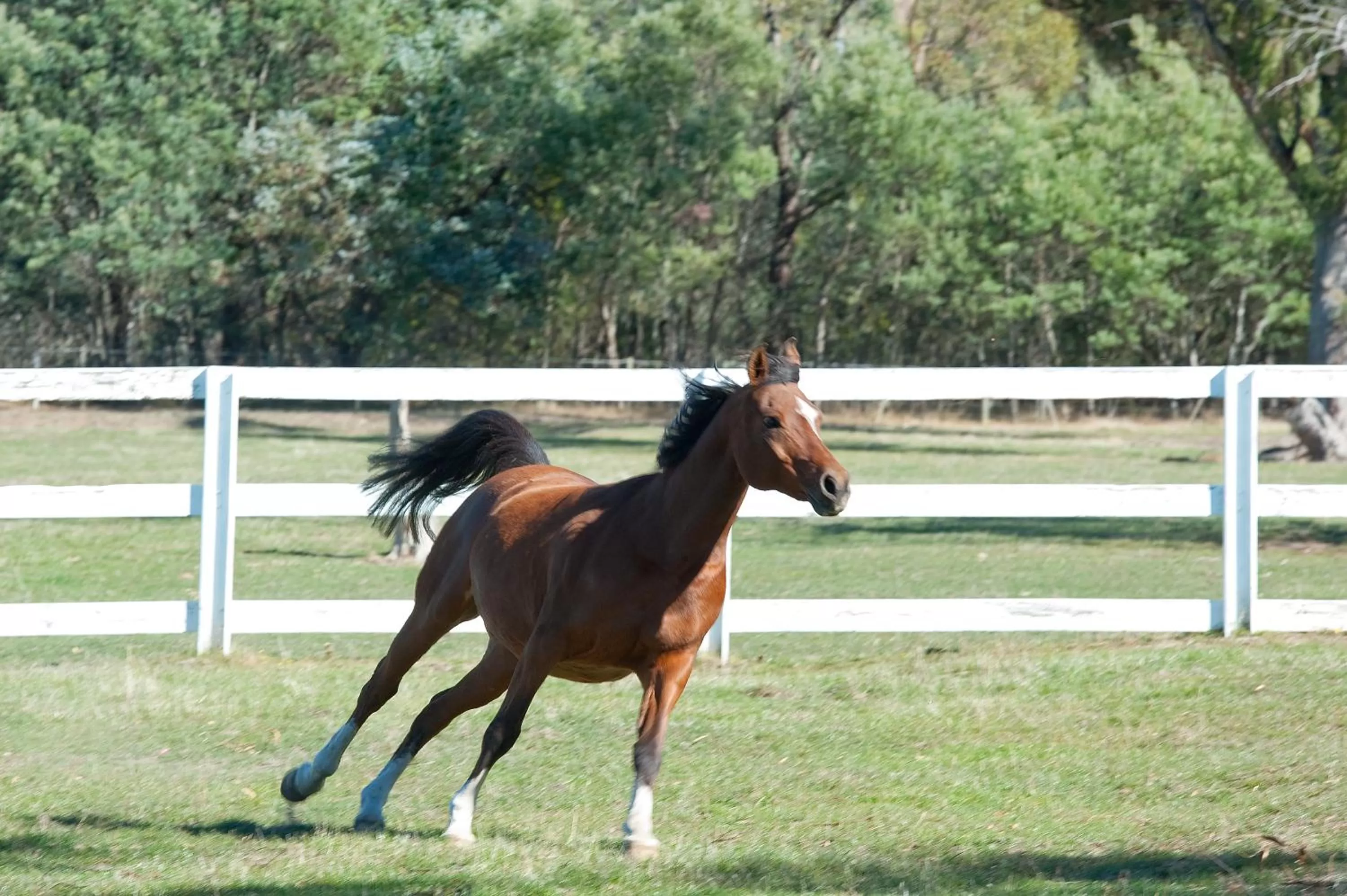 Other in Country Club Villas