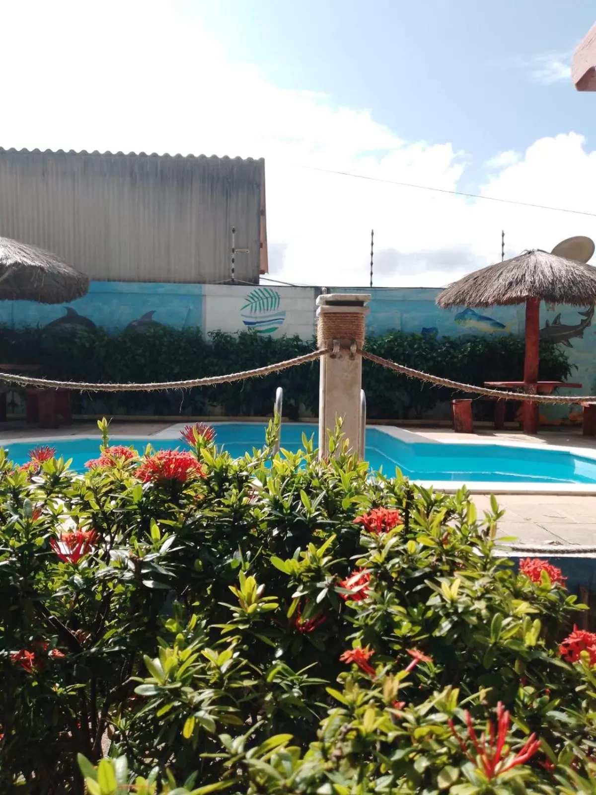 Swimming Pool in Ecomar Pousada