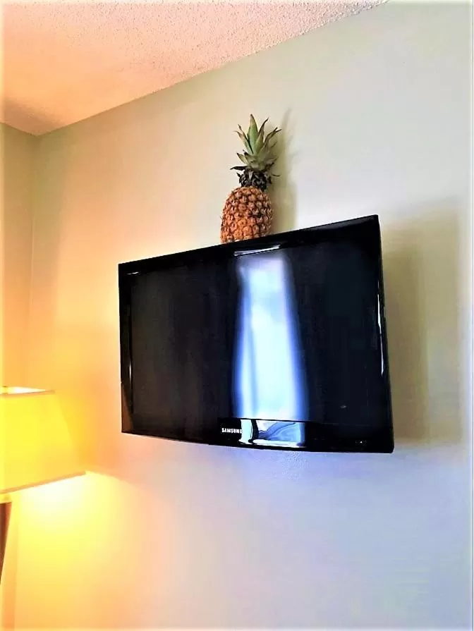 Living room in Gold Coast Family Cottages