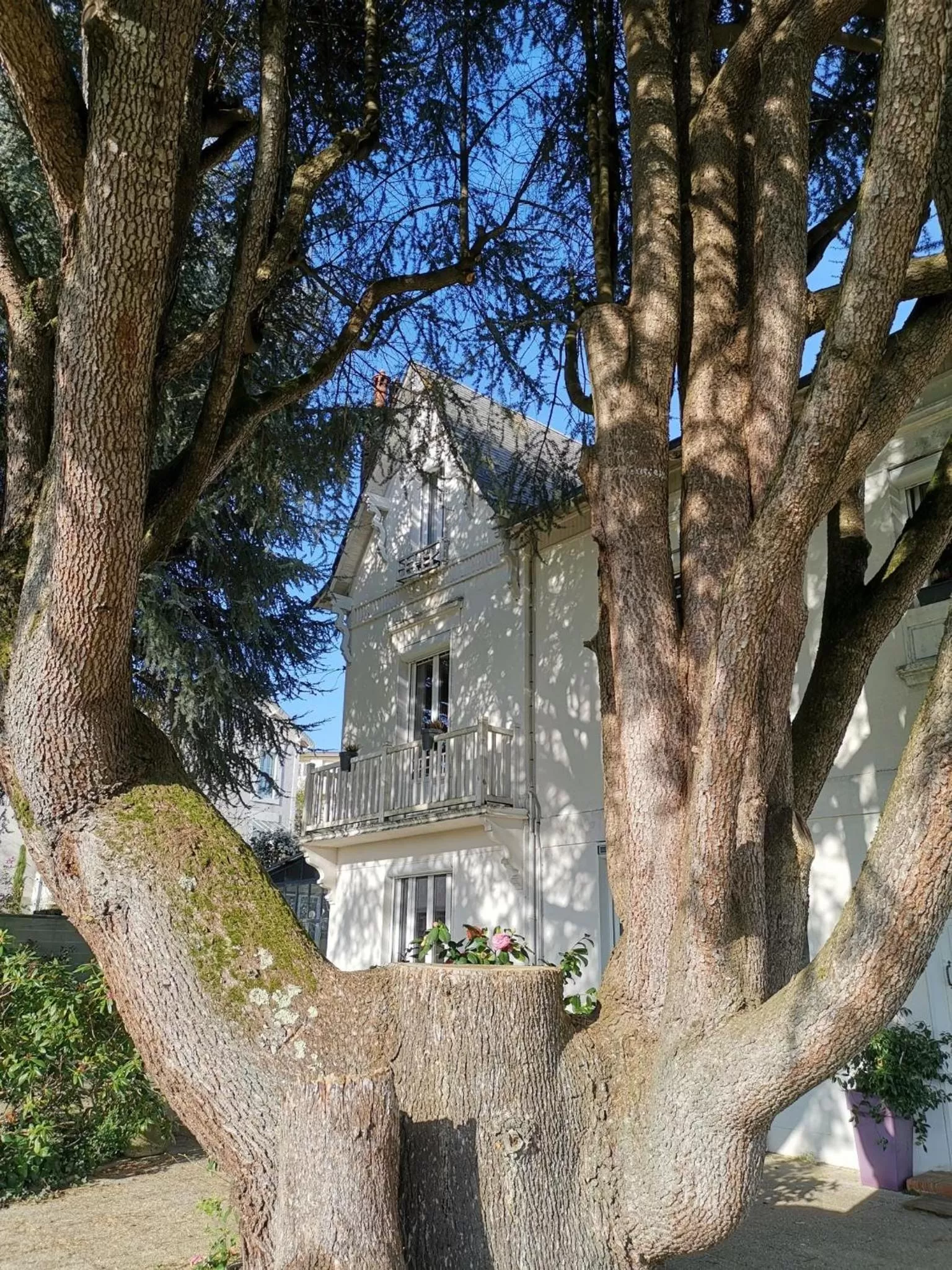 Property Building in Chambres d'hôtes La Maison Blanche