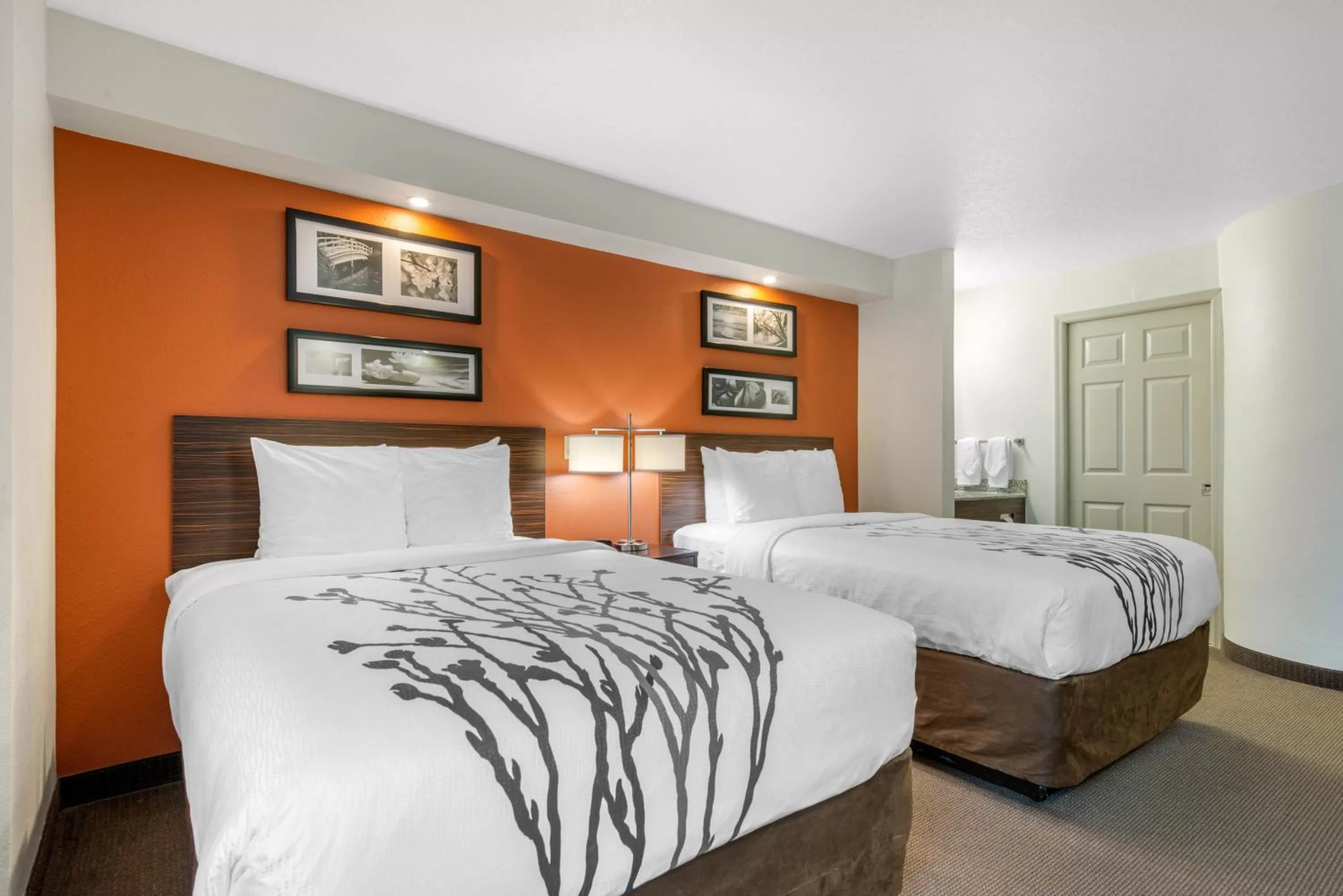 Double Room with Two Double Beds - Non-Smoking in Sleep Inn Clearwater-St Petersburg