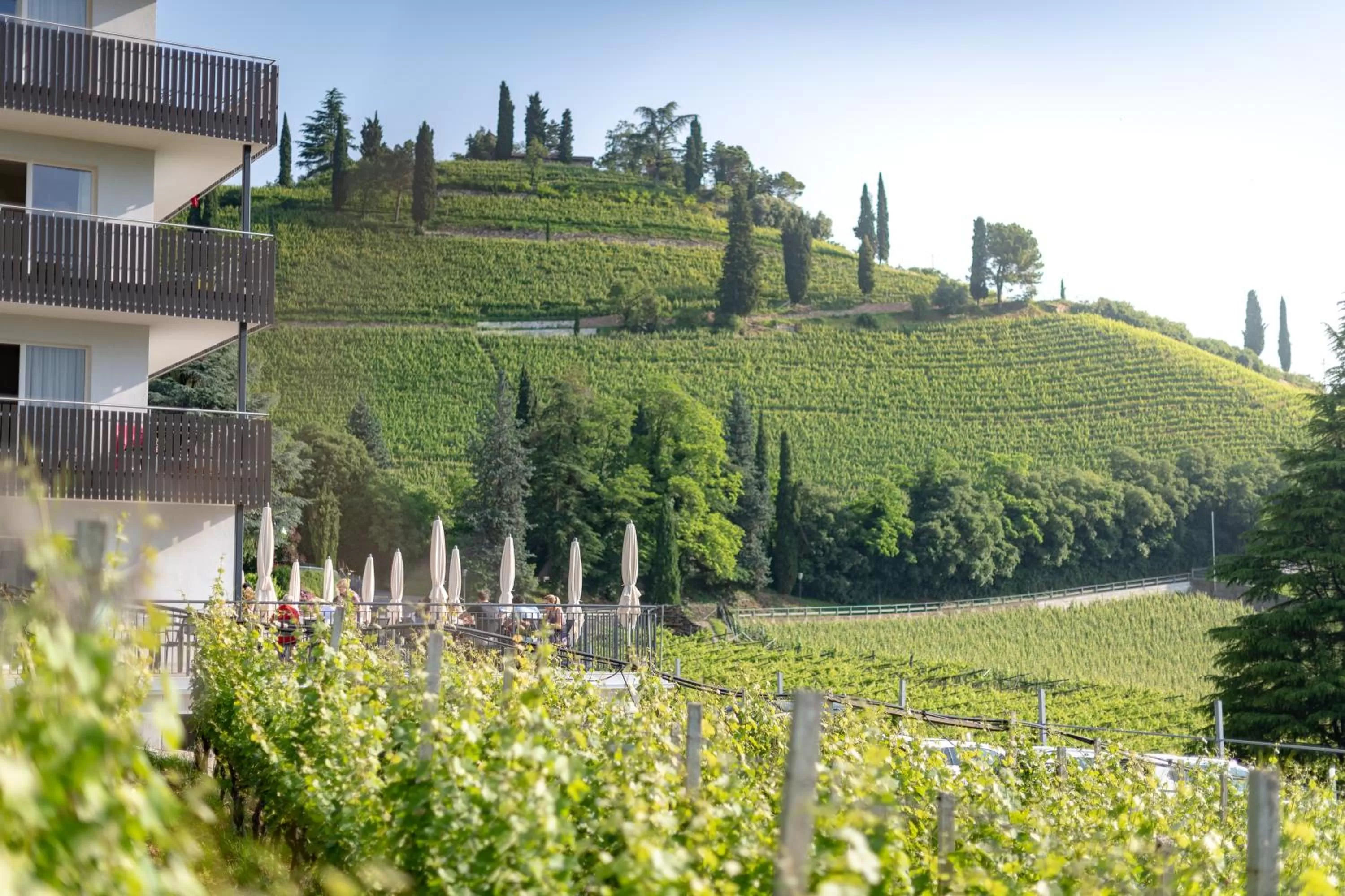 View (from property/room) in Residence Garni Hotel Vineus