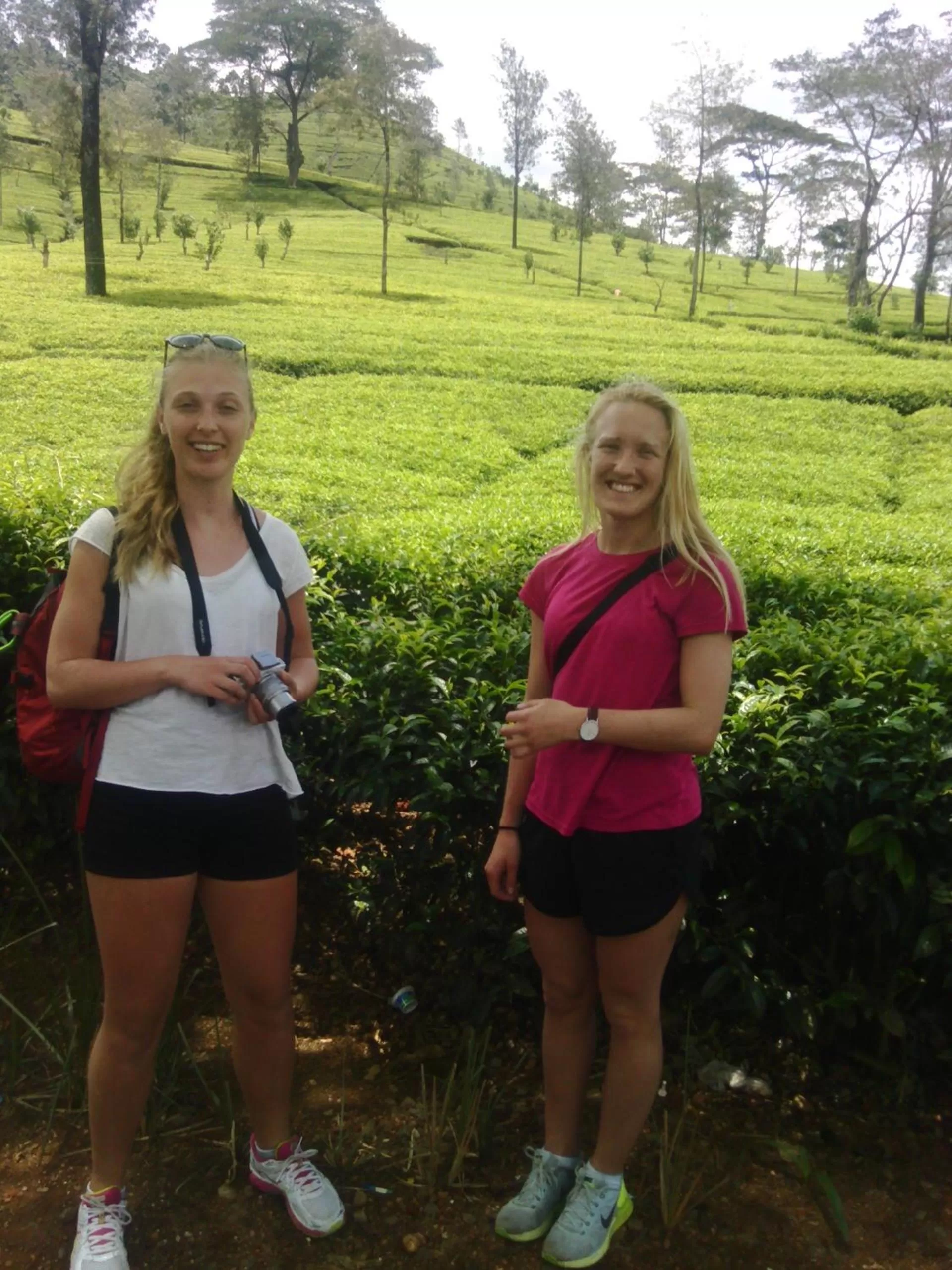 Rock View Rest Hatton