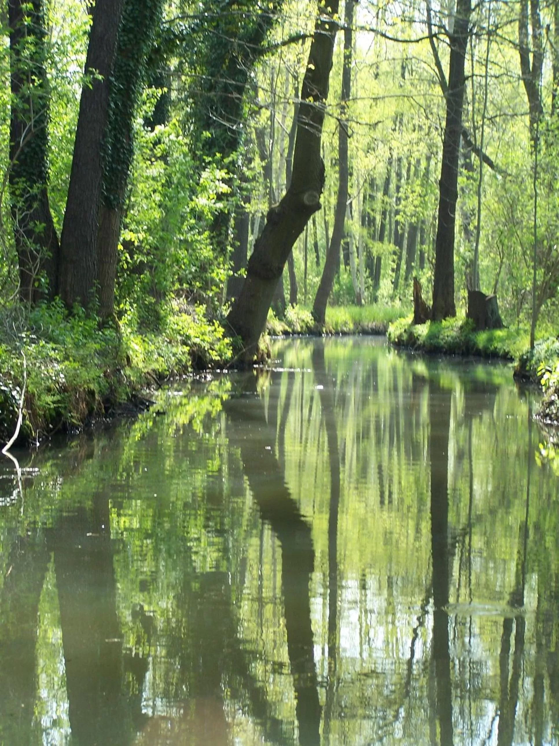 Hotel Zum Goldenen Löwen