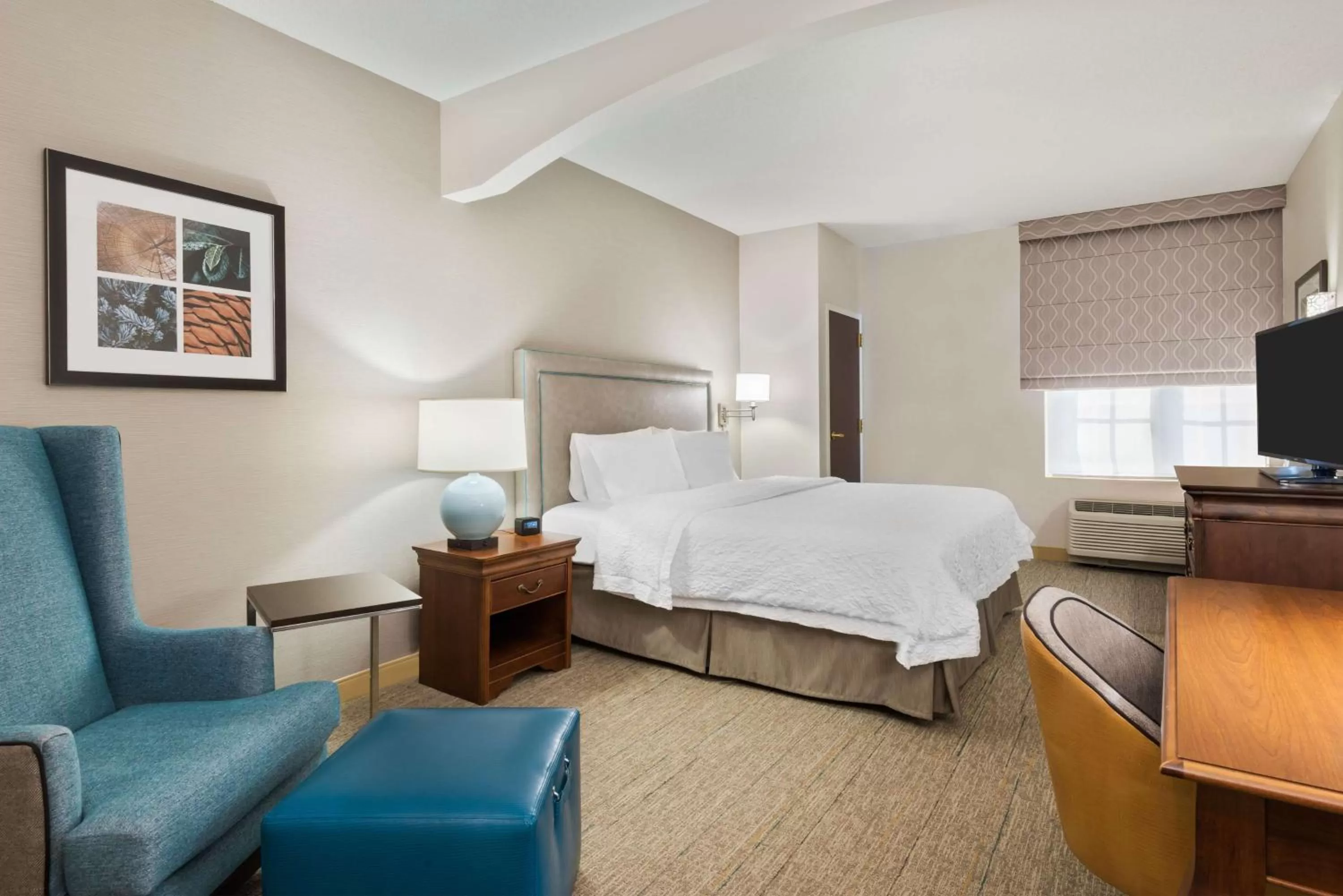 King Room with Roll-in Shower - Disability Access/Non-Smoking in Hampton Inn Boston Bedford Burlington