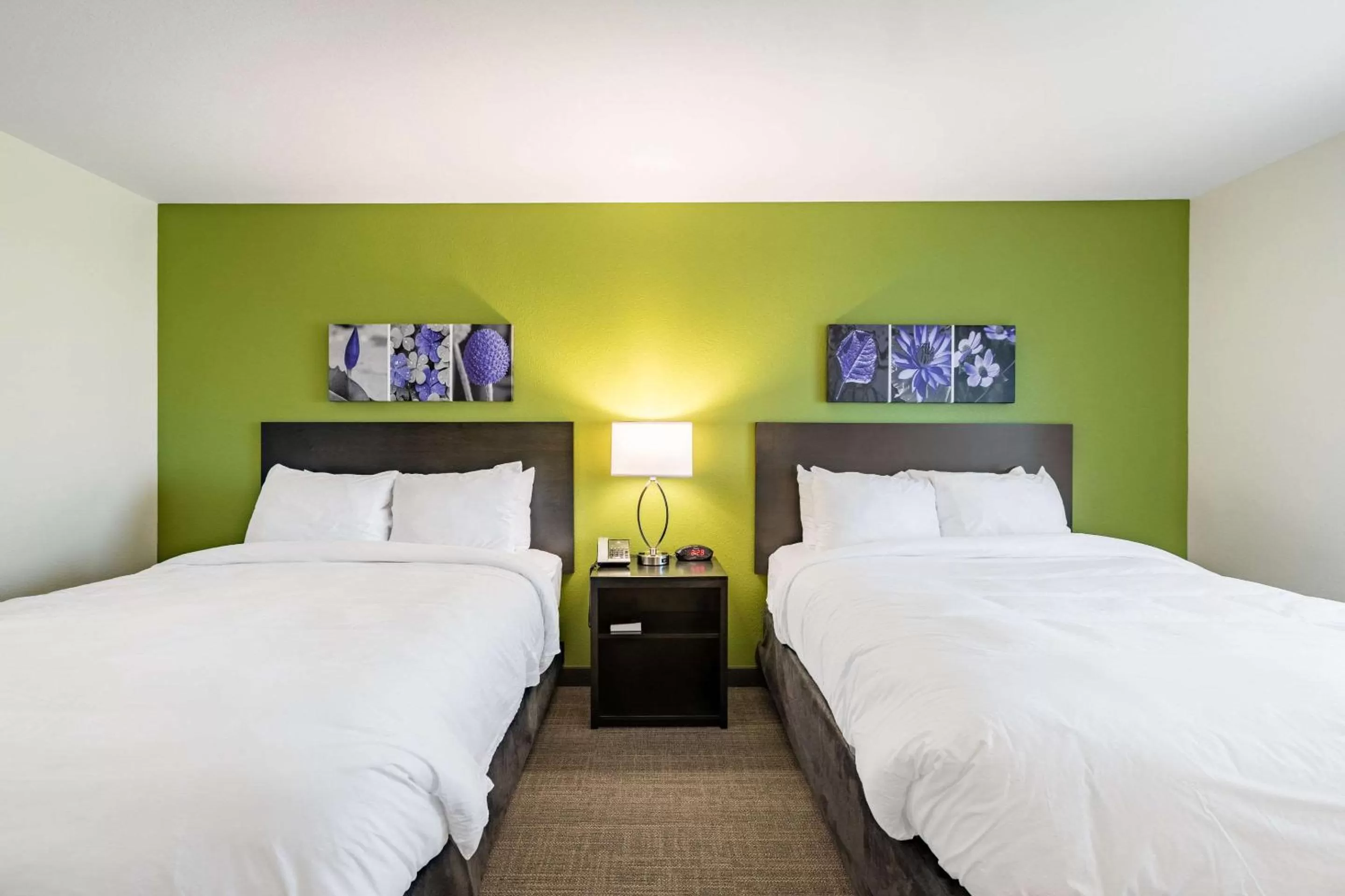 Photo of the whole room, Bed in Sleep Inn & Suites Mt Hope near Auction & Event Center