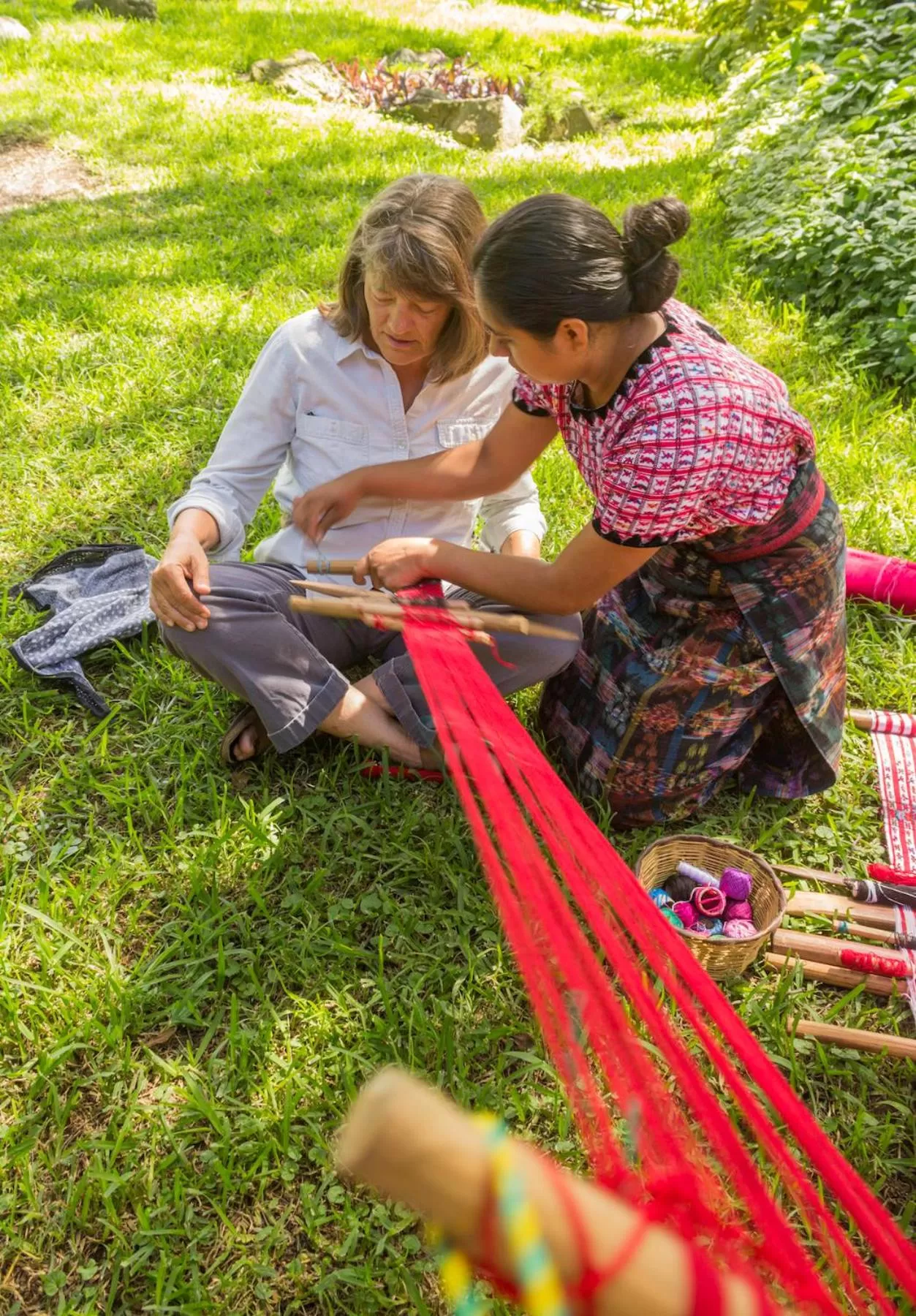 Activities in Hotel Toliman