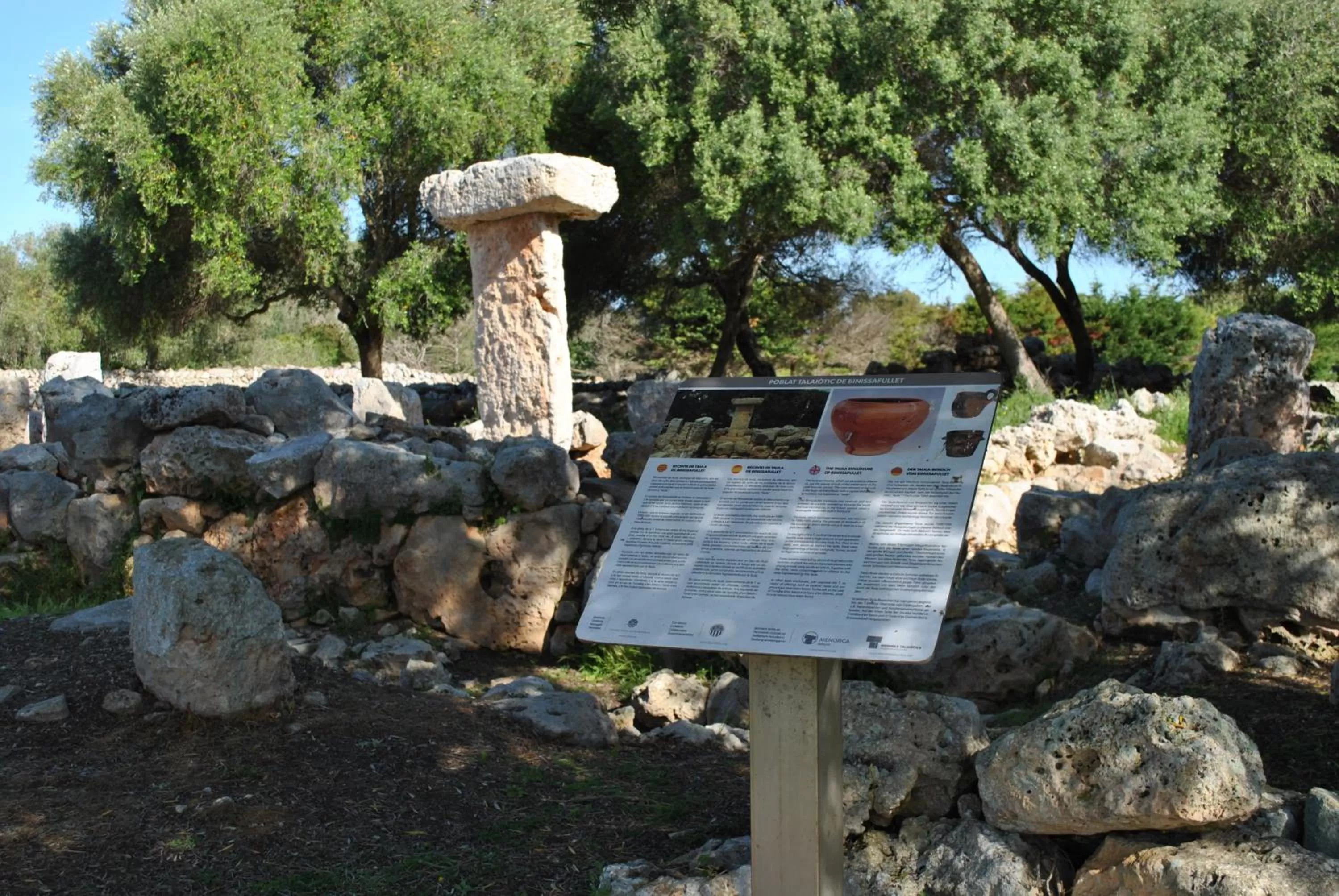 Activities in Agroturismo Binissafullet Vell