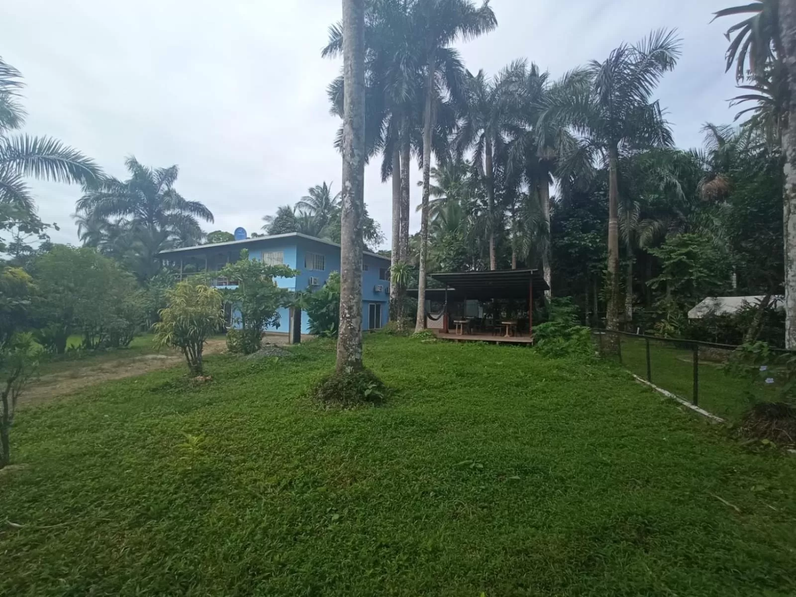 Garden in La Luciernaga Big Creek