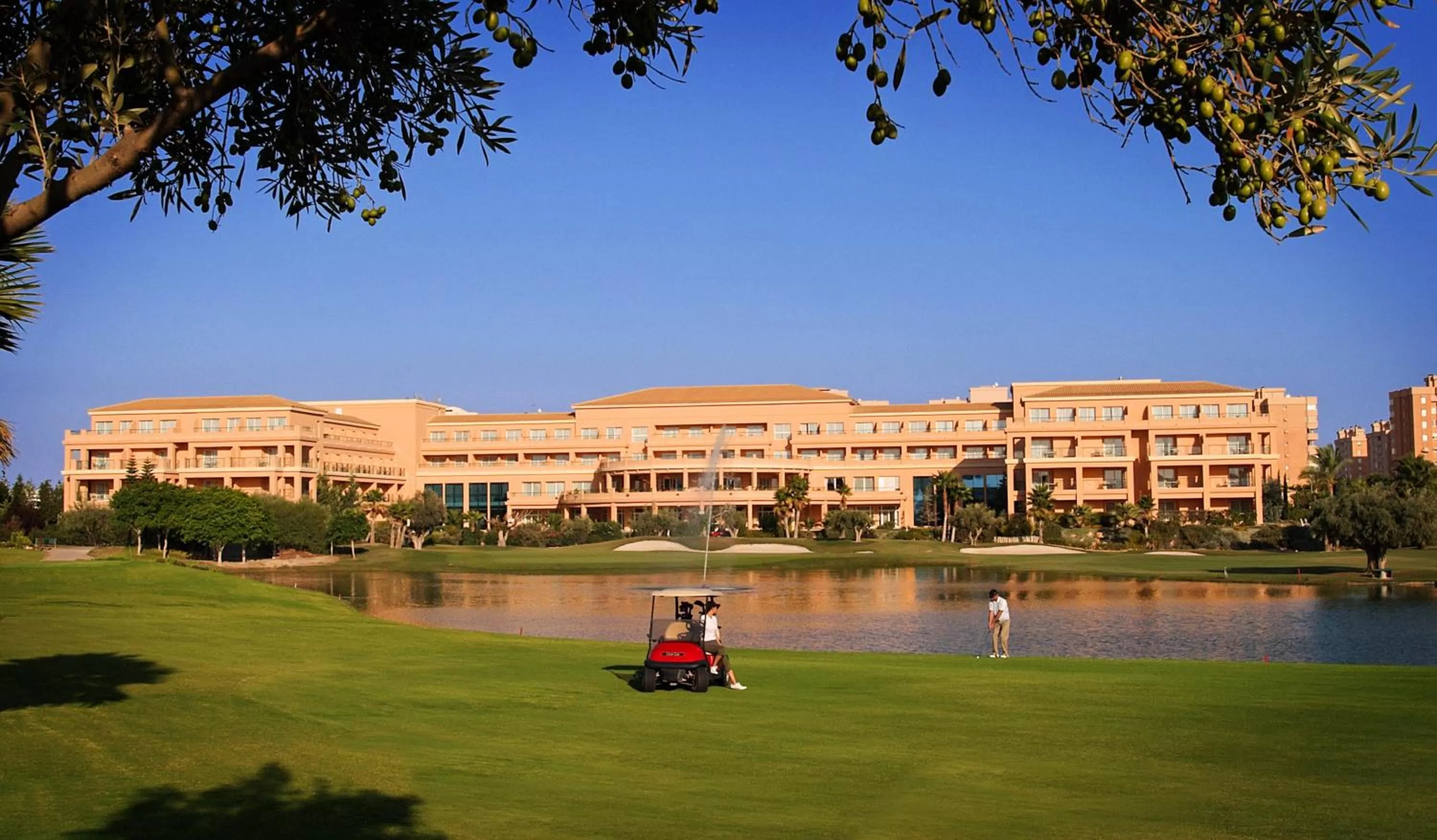 Area and facilities in Hotel Alicante Golf