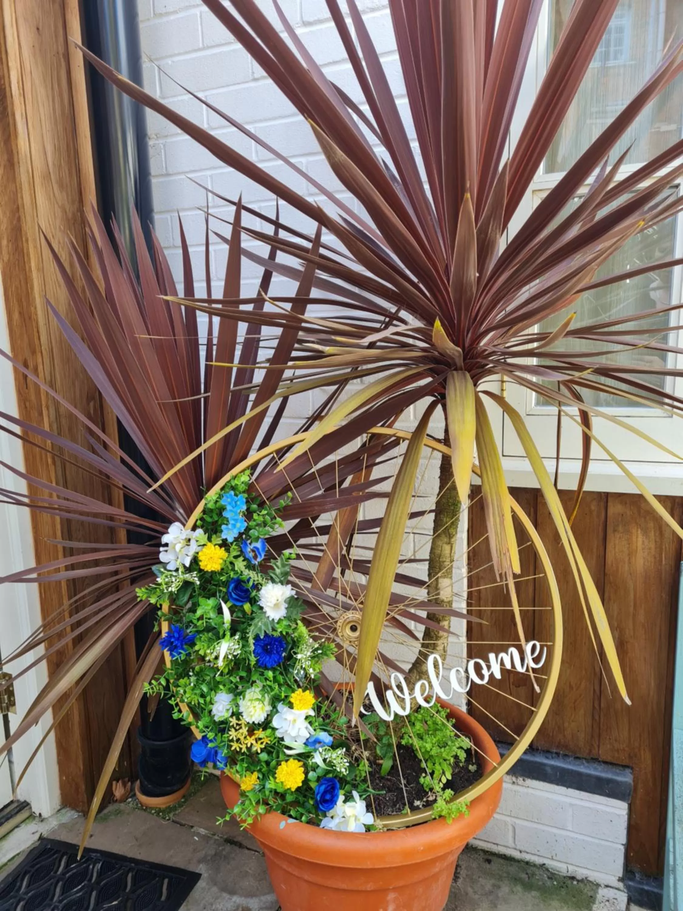 Property building in The Pelican Inn