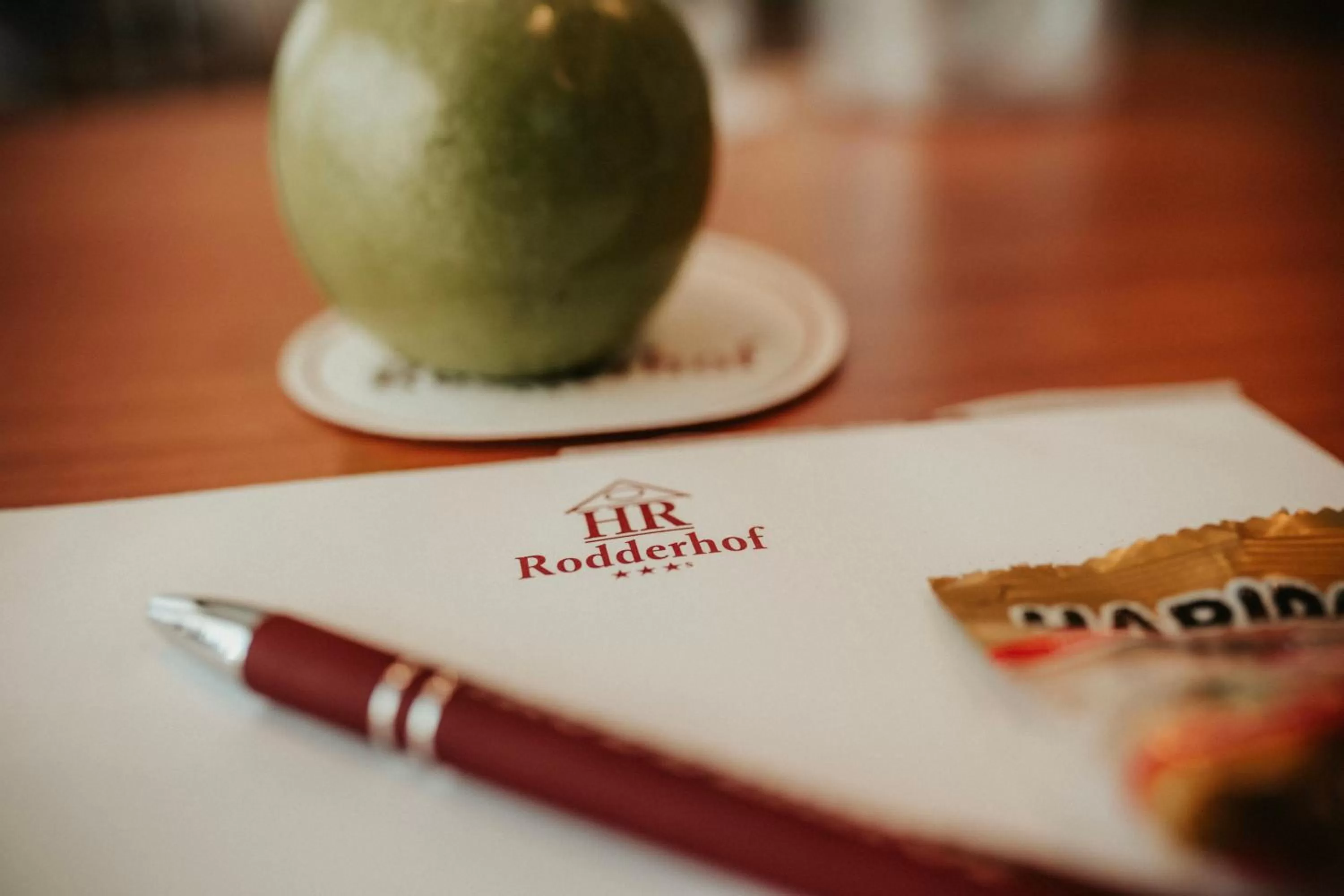 Business facilities in Hotel Rodderhof