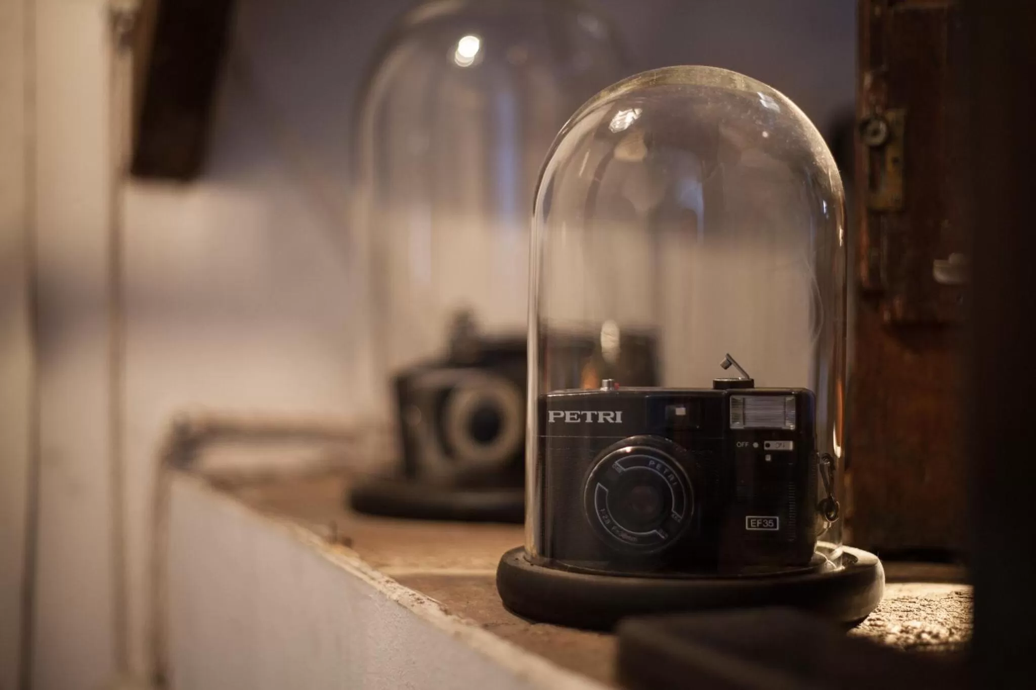 Decorative detail in Libera Mente Civita