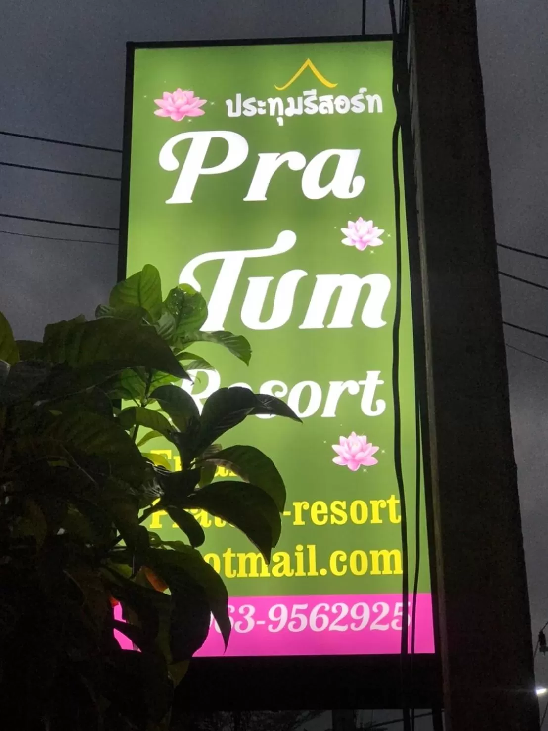Property Logo/Sign in Pratum Resort