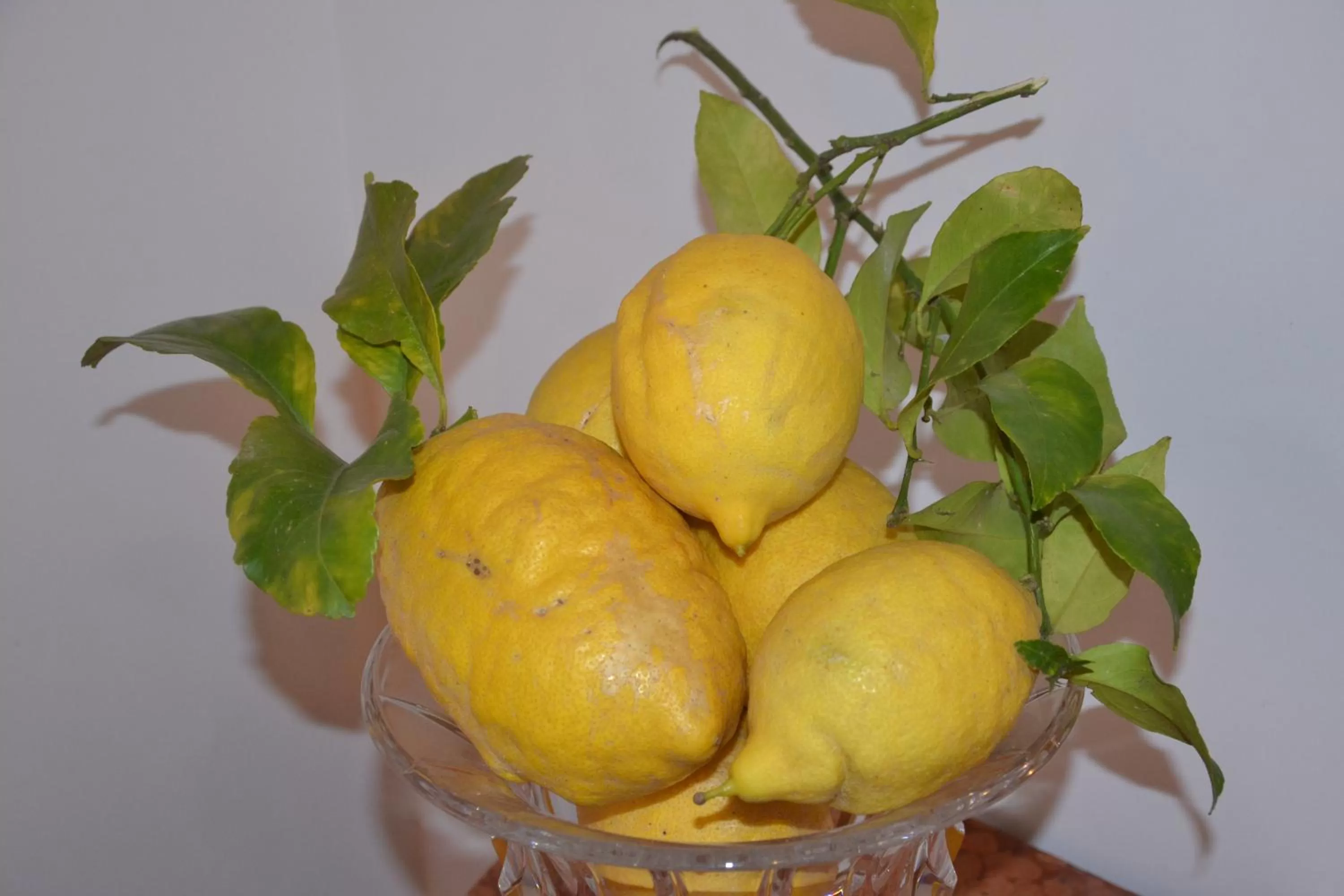 Terra Murata Boutique b&b