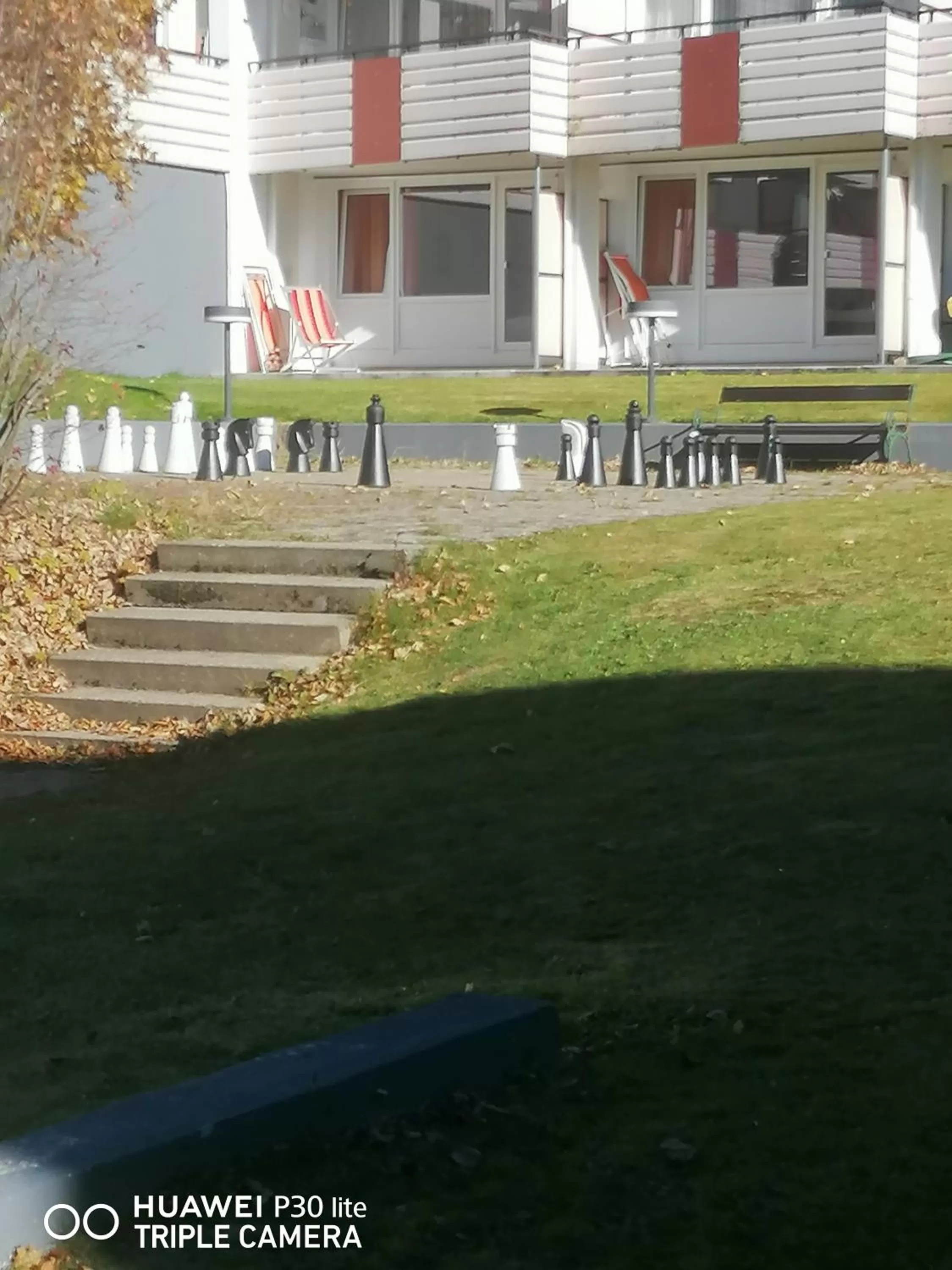 Garden in King Panorama mit Netflix