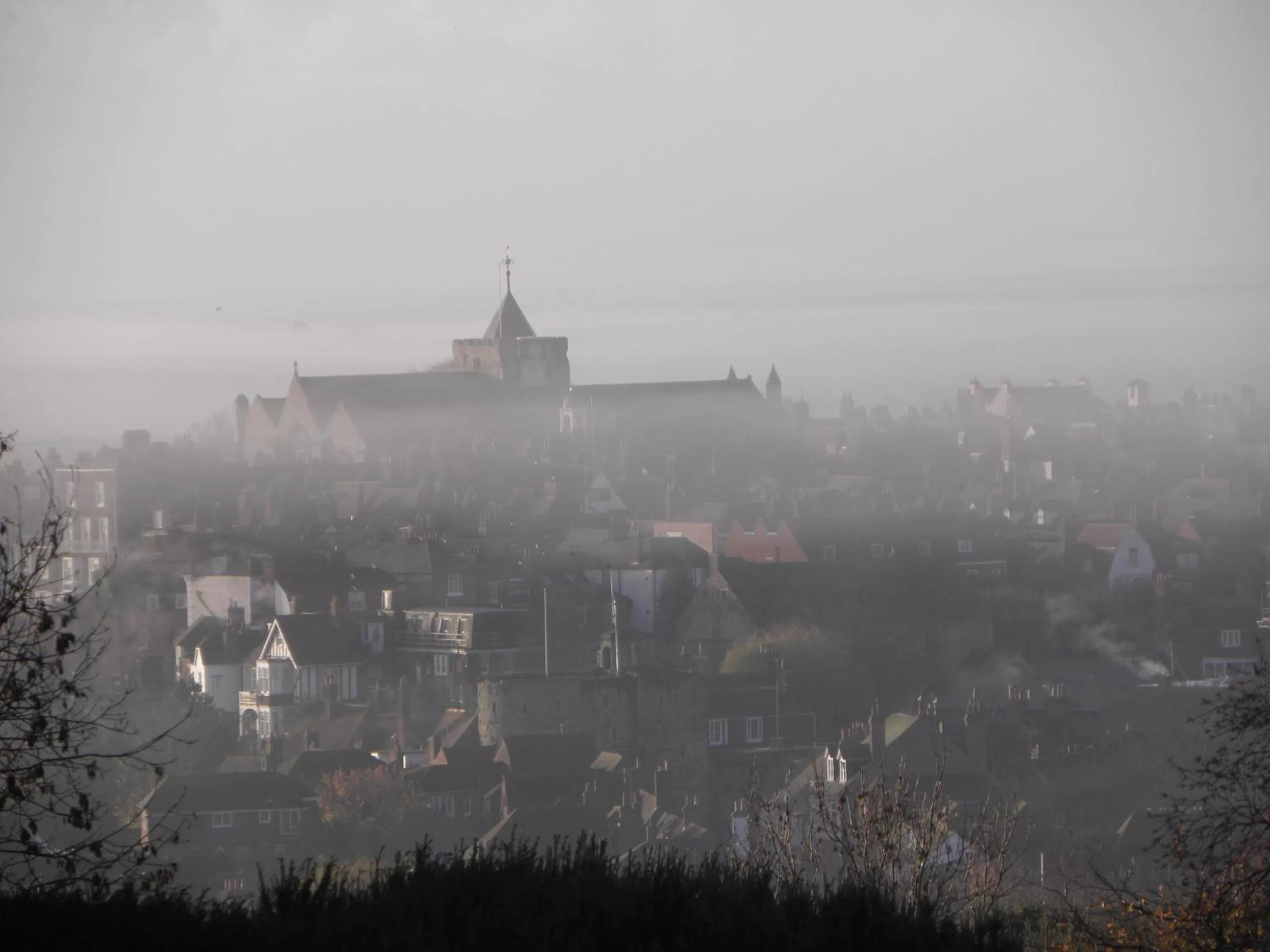 Natural landscape in Saltcote Place