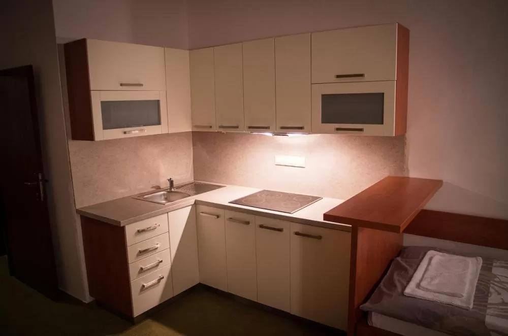 Kitchen/Kitchenette in Hotel Bothe