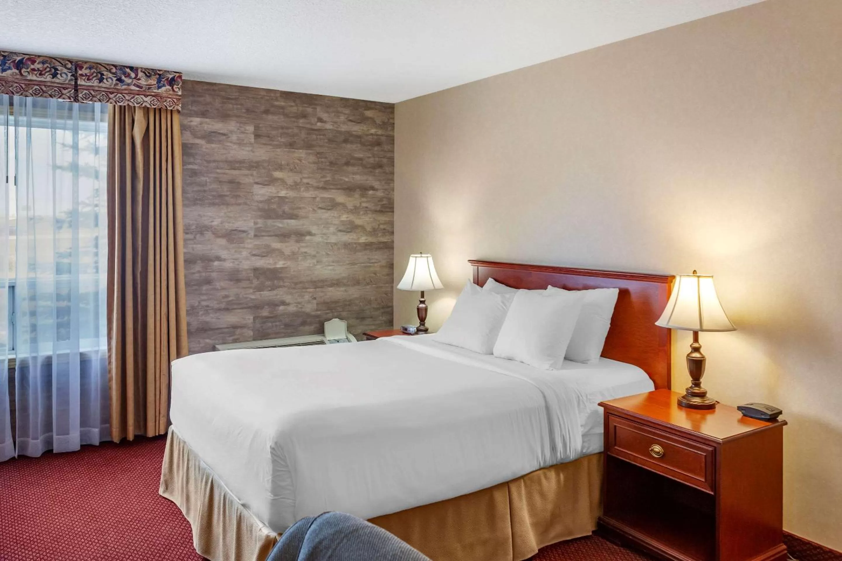 Standard Queen Room - Non Smoking in Quality Inn & Suites Edmonton International Airport